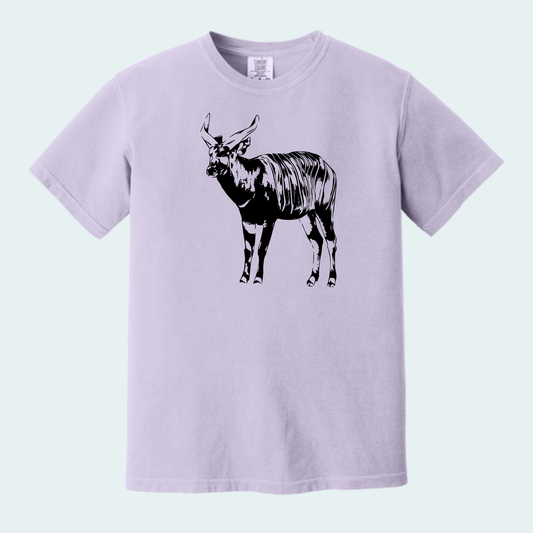 Bongo (Limited Edition for September) Unisex Comfort Color Tee