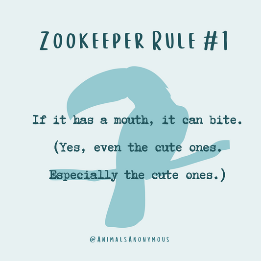 Zookeeper Rule (Limited Edition for November) Tee