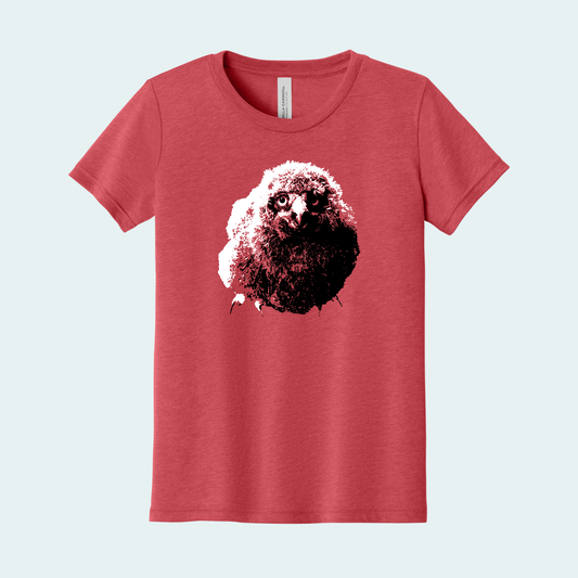 Snowy Owl Chick (Limited Edition for January) Youth Tee