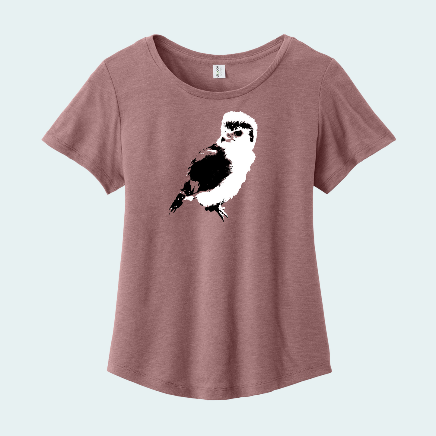 Pygmy falcon (Limited Edition) Women’s Relaxed Scoop Neck Tee