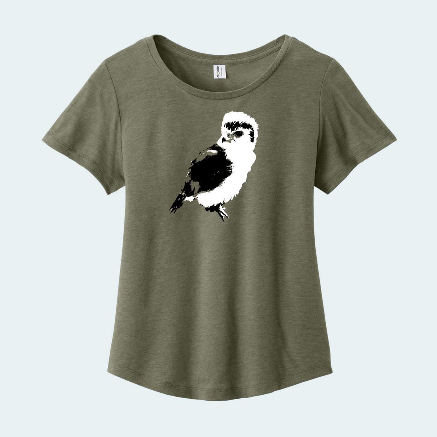 Pygmy falcon (Limited Edition) Women’s Relaxed Scoop Neck Tee
