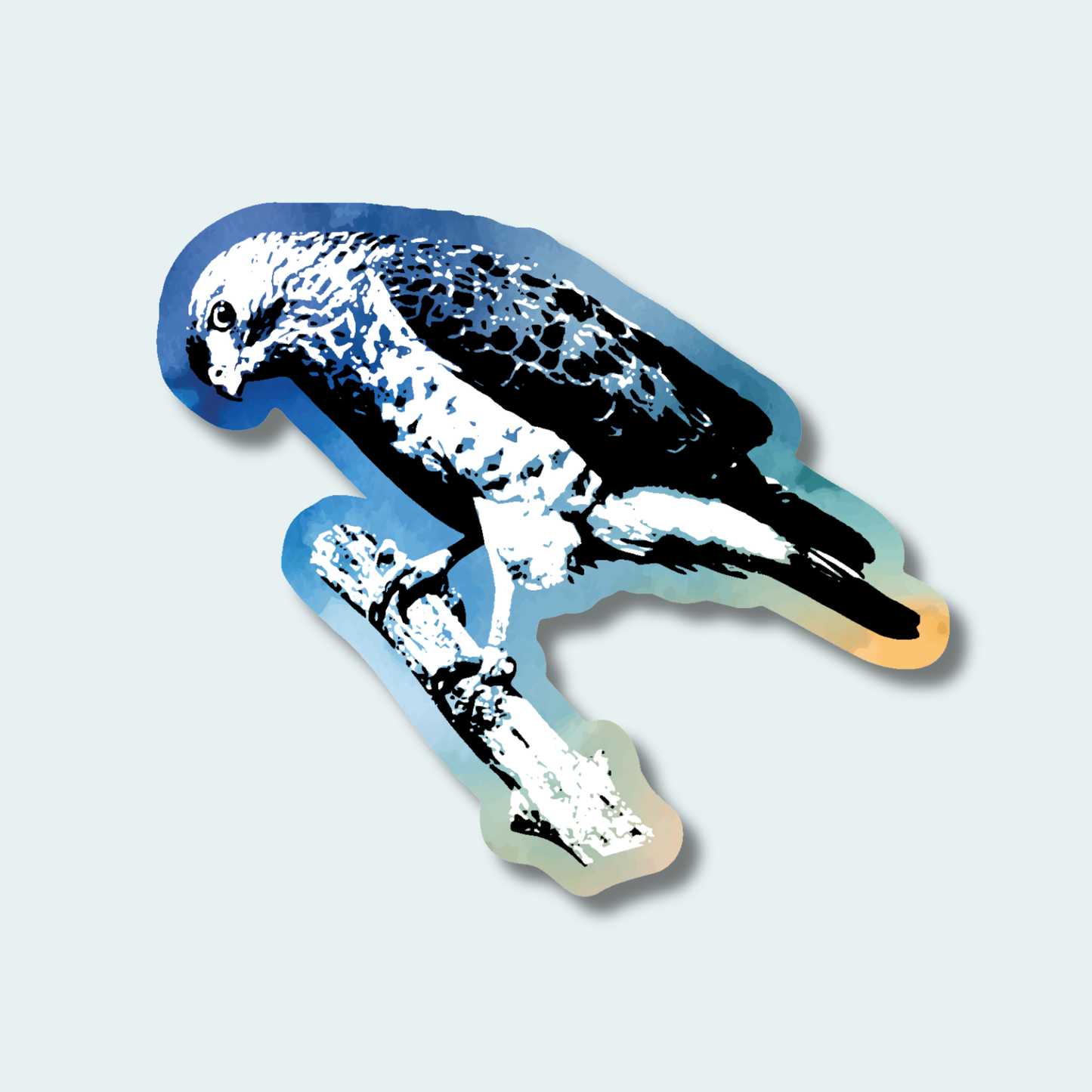 Broad-winged Hawk - 4in Sticker