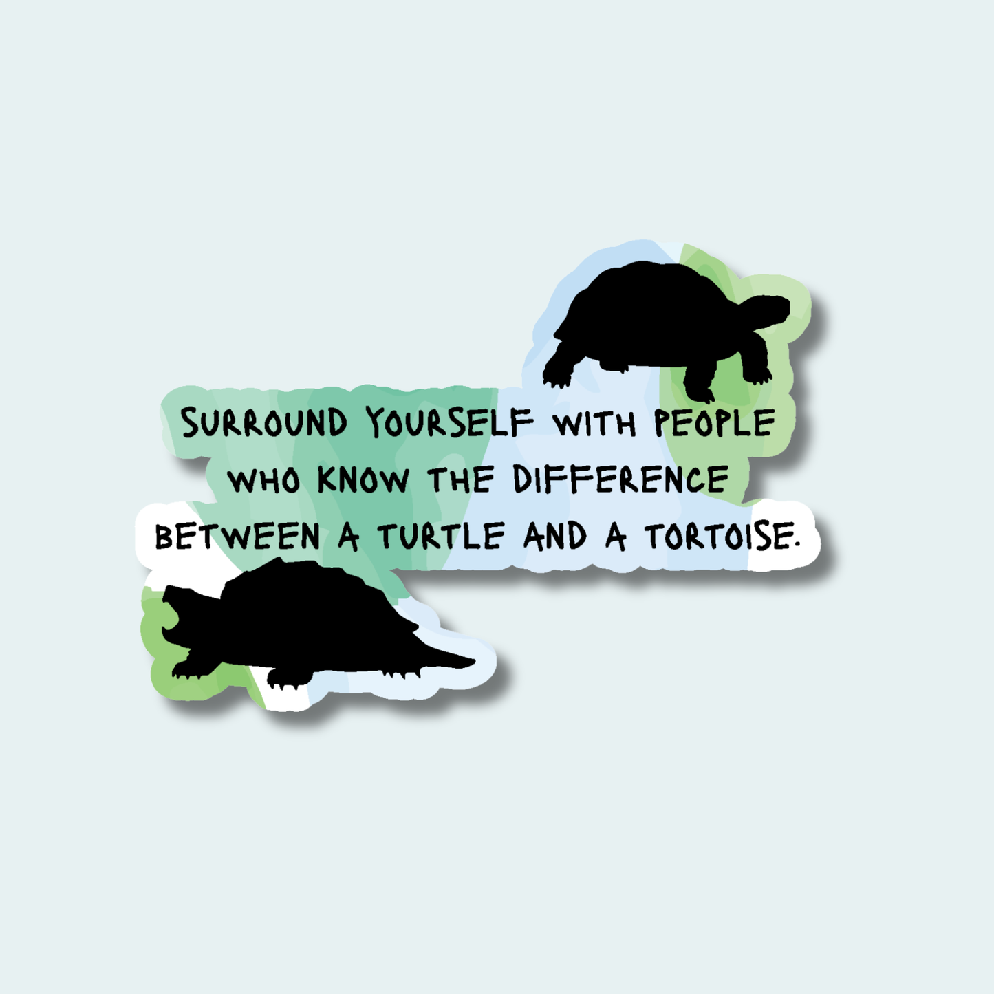Turtle and a Tortoise - 4in Sticker