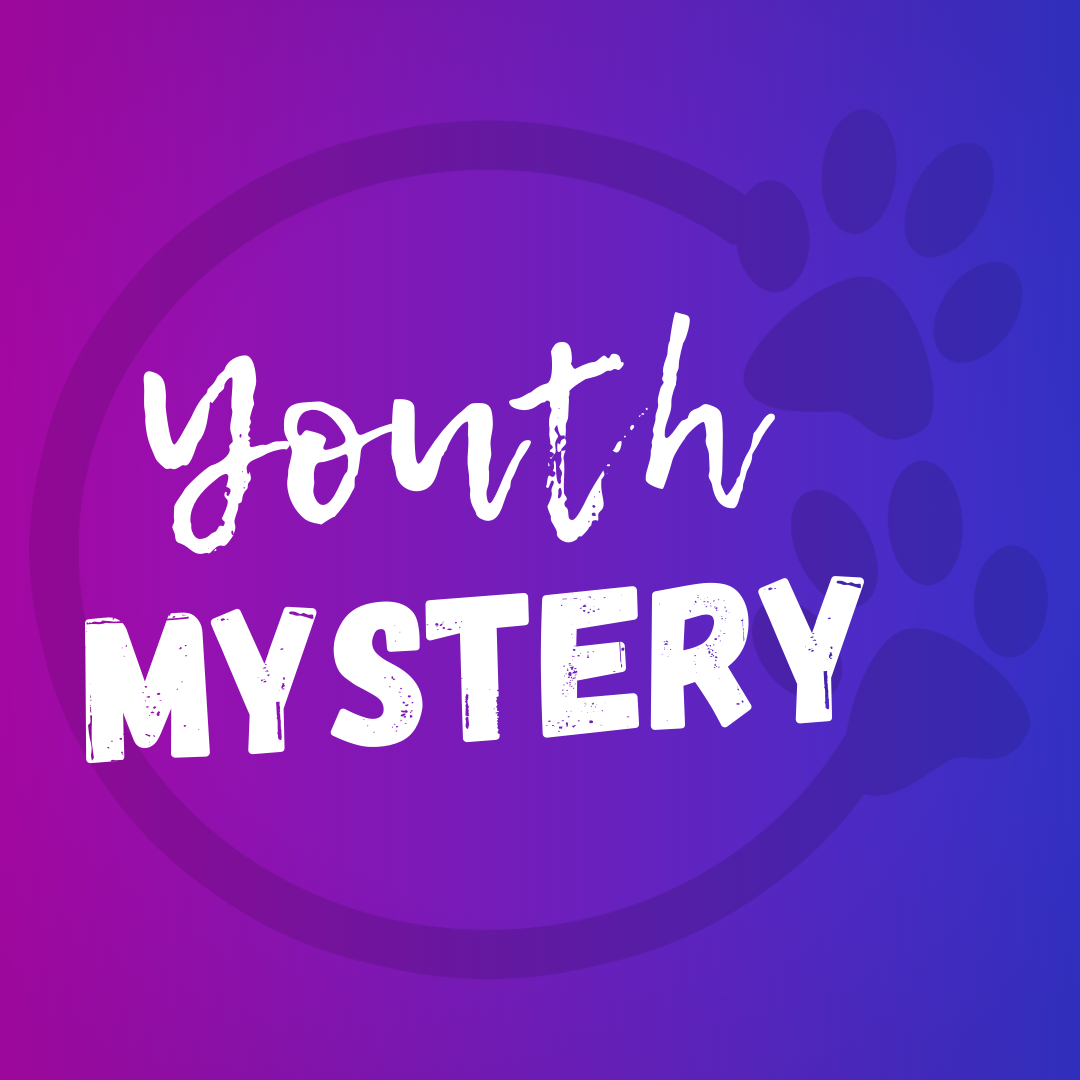 Misterio juvenil