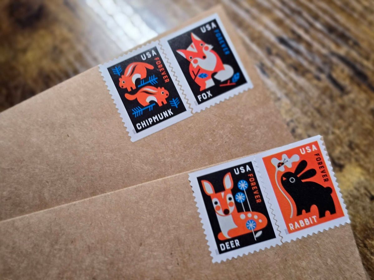 Anonymous Animal Eclosed - Letters from the Field (Monthly Subscription)