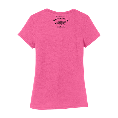 Black Footed Cat Fundraiser - Women's Tee (Pre order)