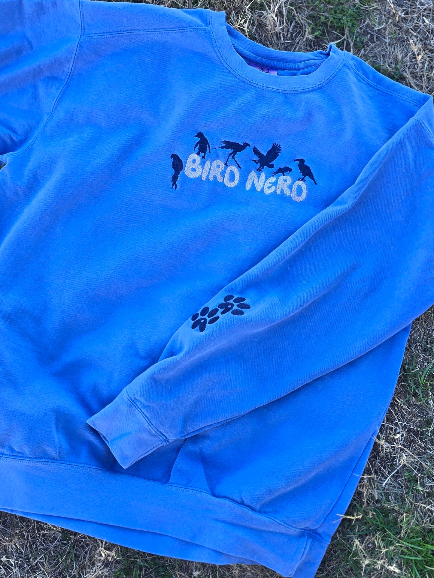 Bird Nerd Embroidery (Limited Edition for January) Comfort Color Sweatshirt