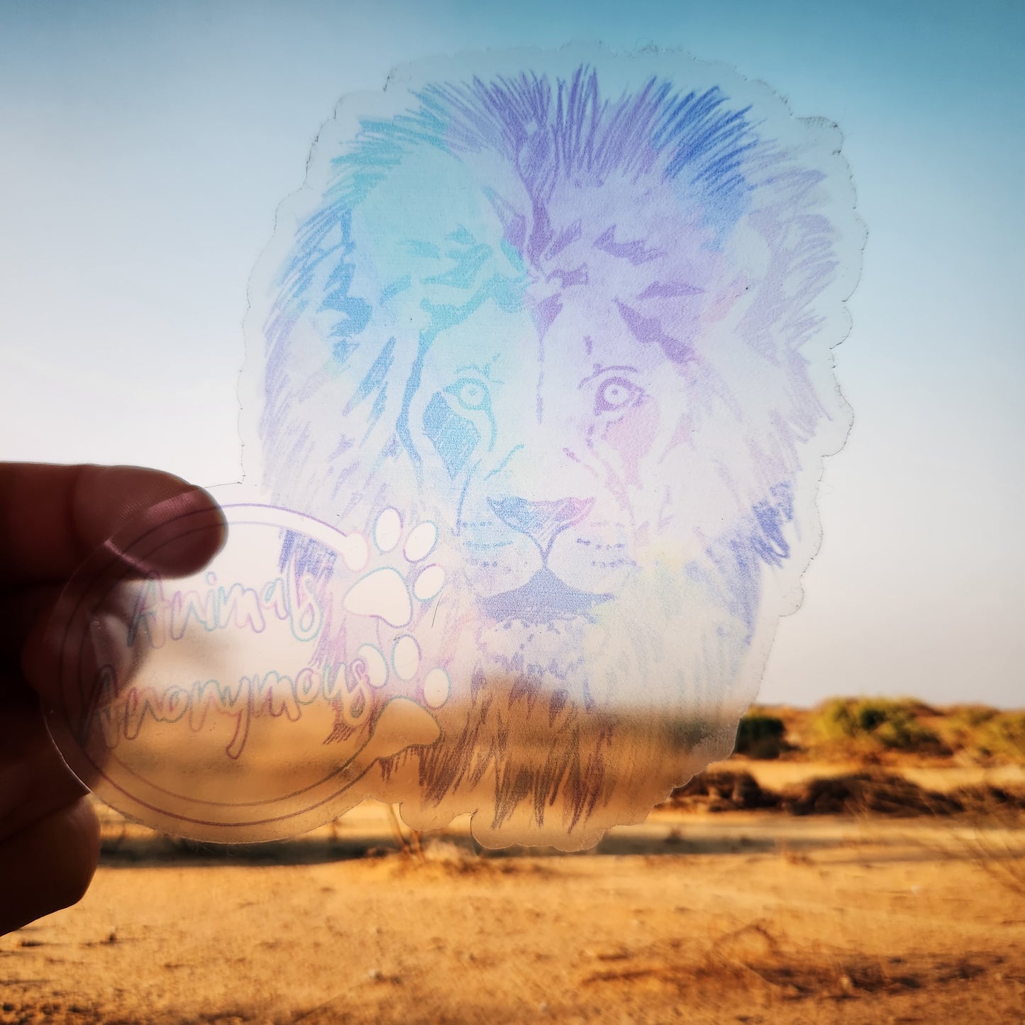 Lion Rainbow Sketch - Sticker CLEAR