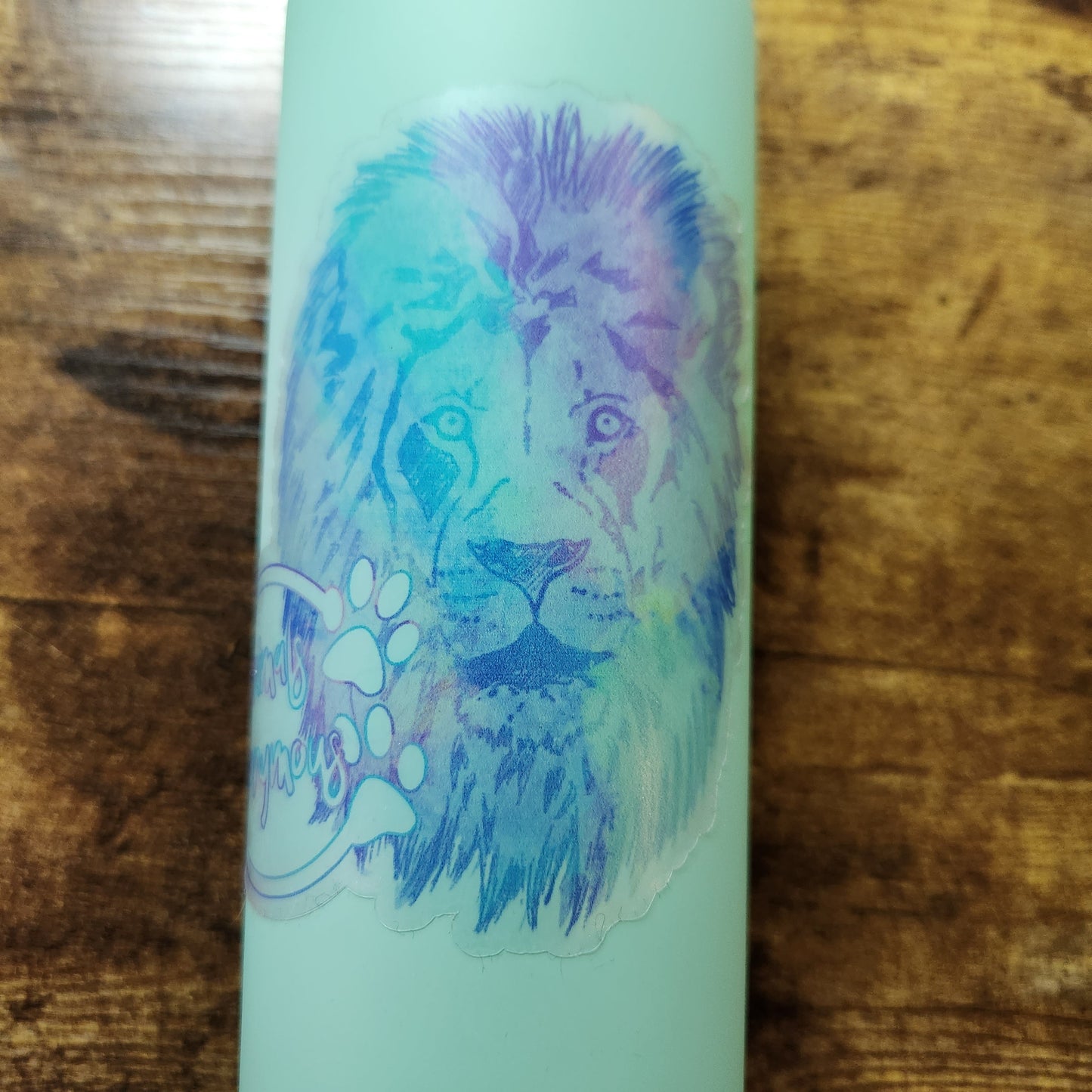 Lion Rainbow Sketch - Sticker CLEAR