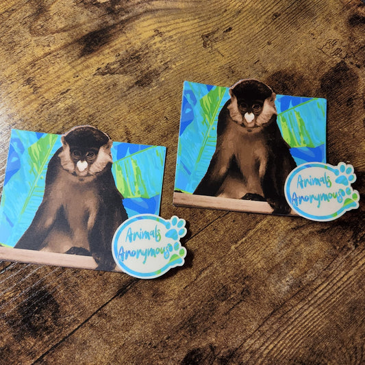 Guenon de nariz manchada - Pegatina