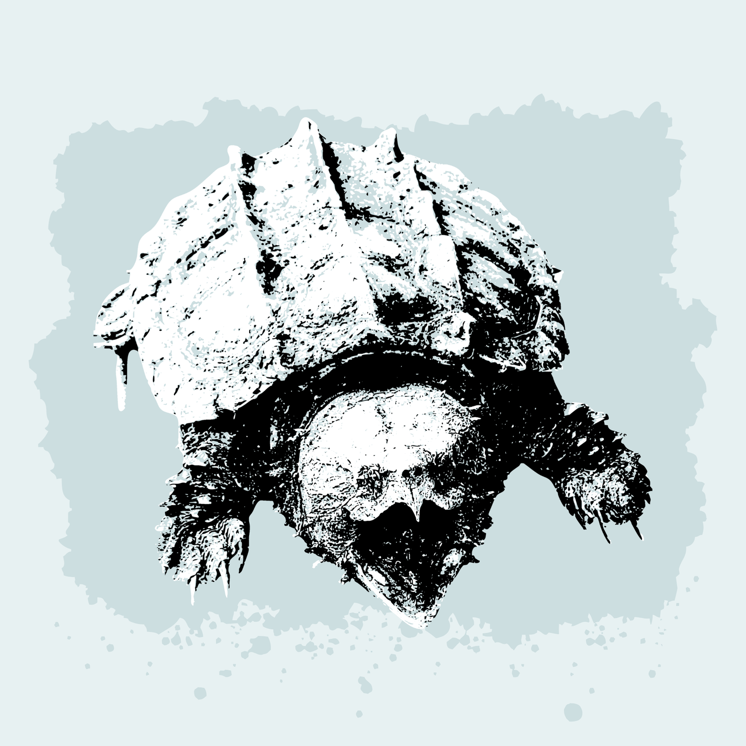 Alligator Snapping Turtle