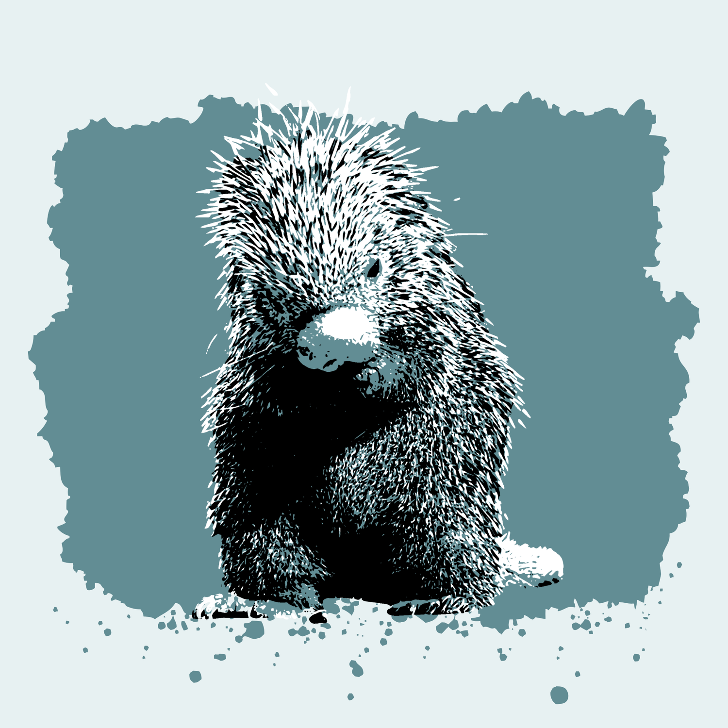 Prehensile-tailed Porcupine