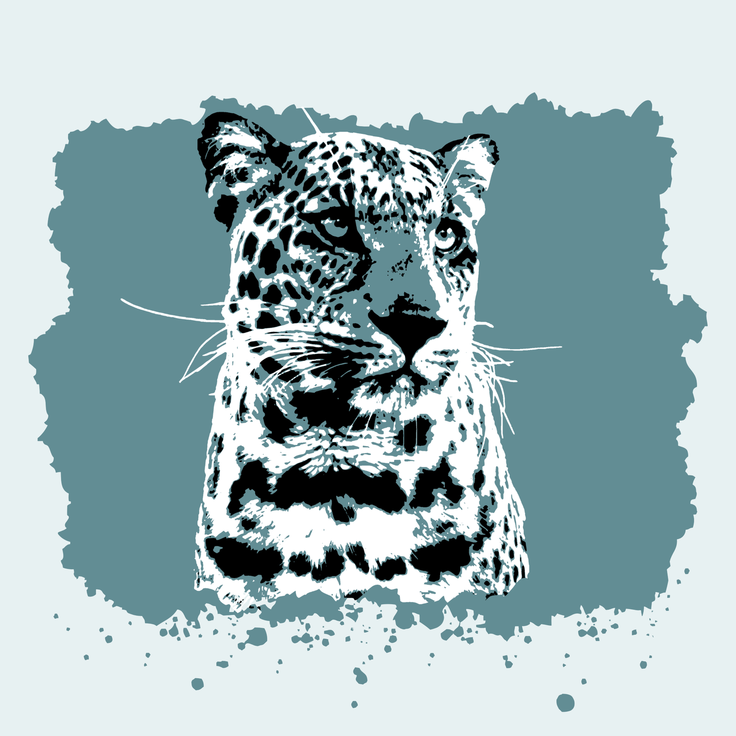 African Leopard