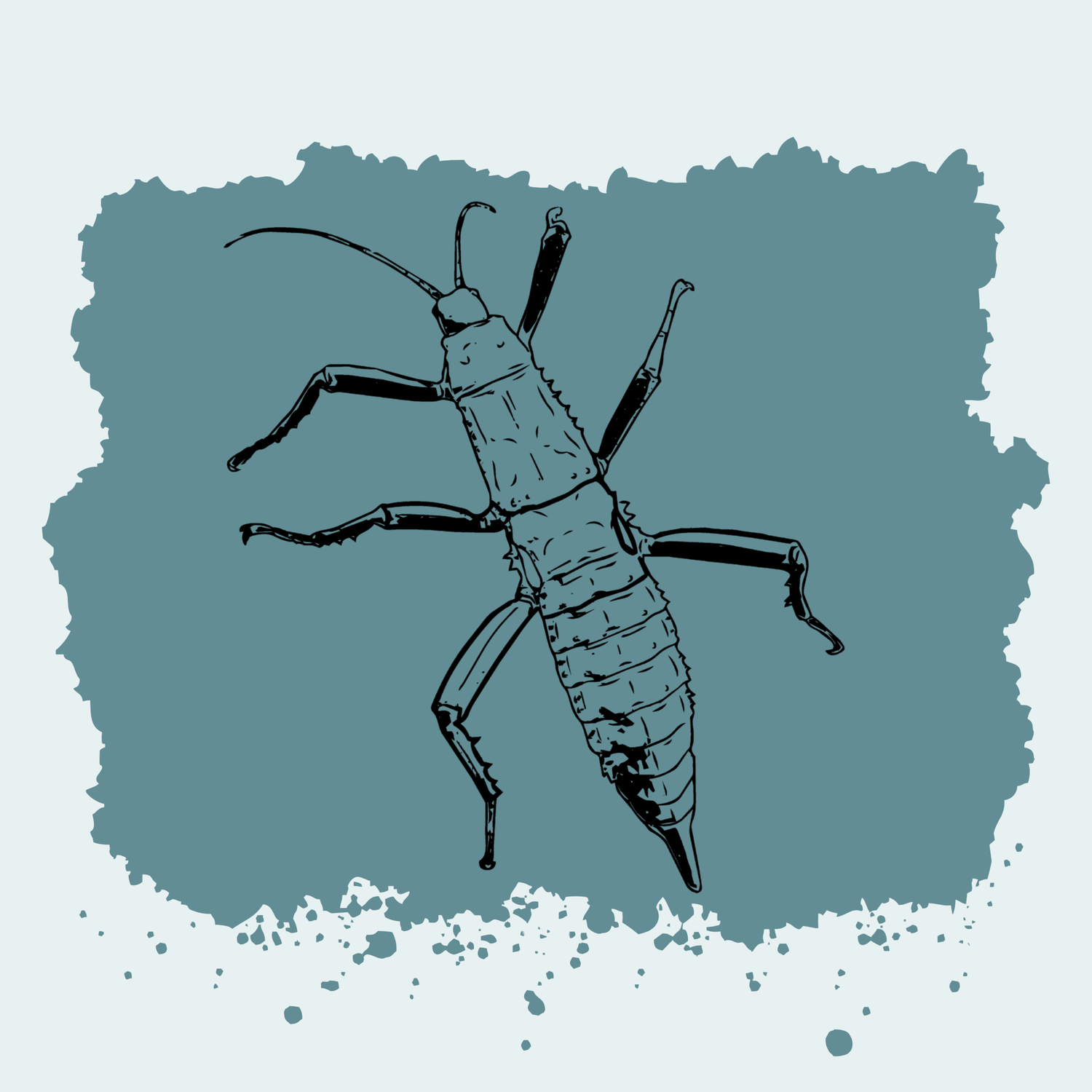 Giant Spiny Stick Insect