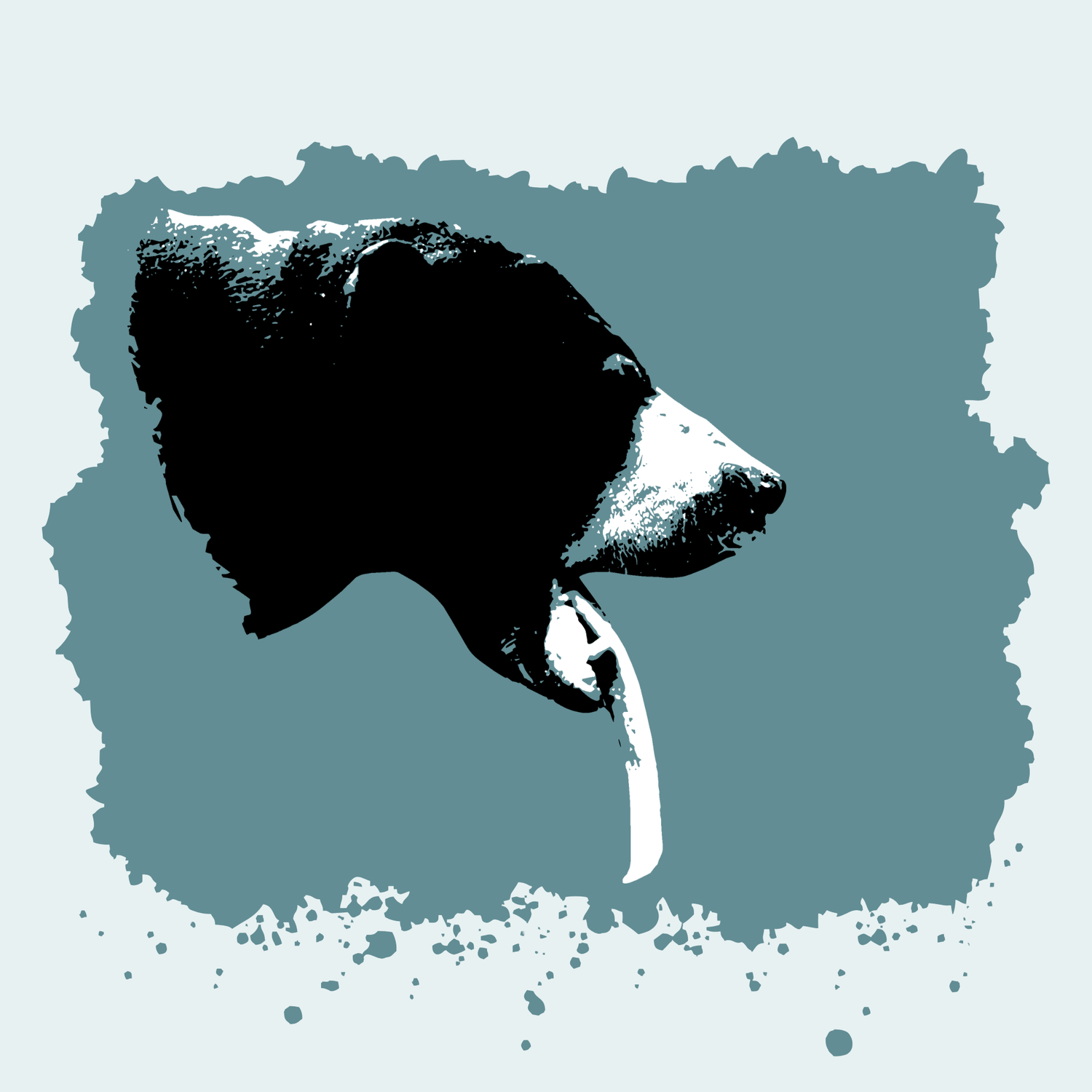 Sun Bear