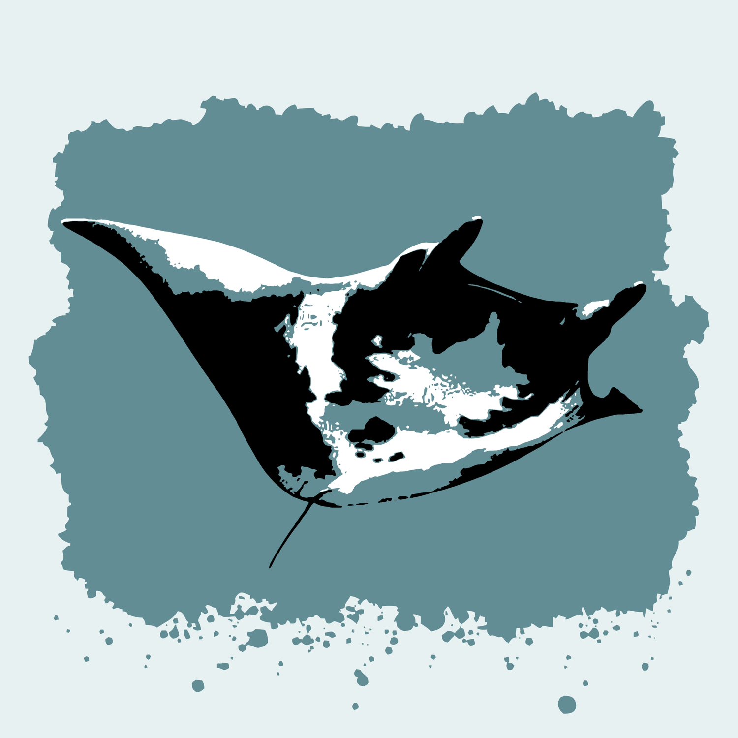Manta Ray