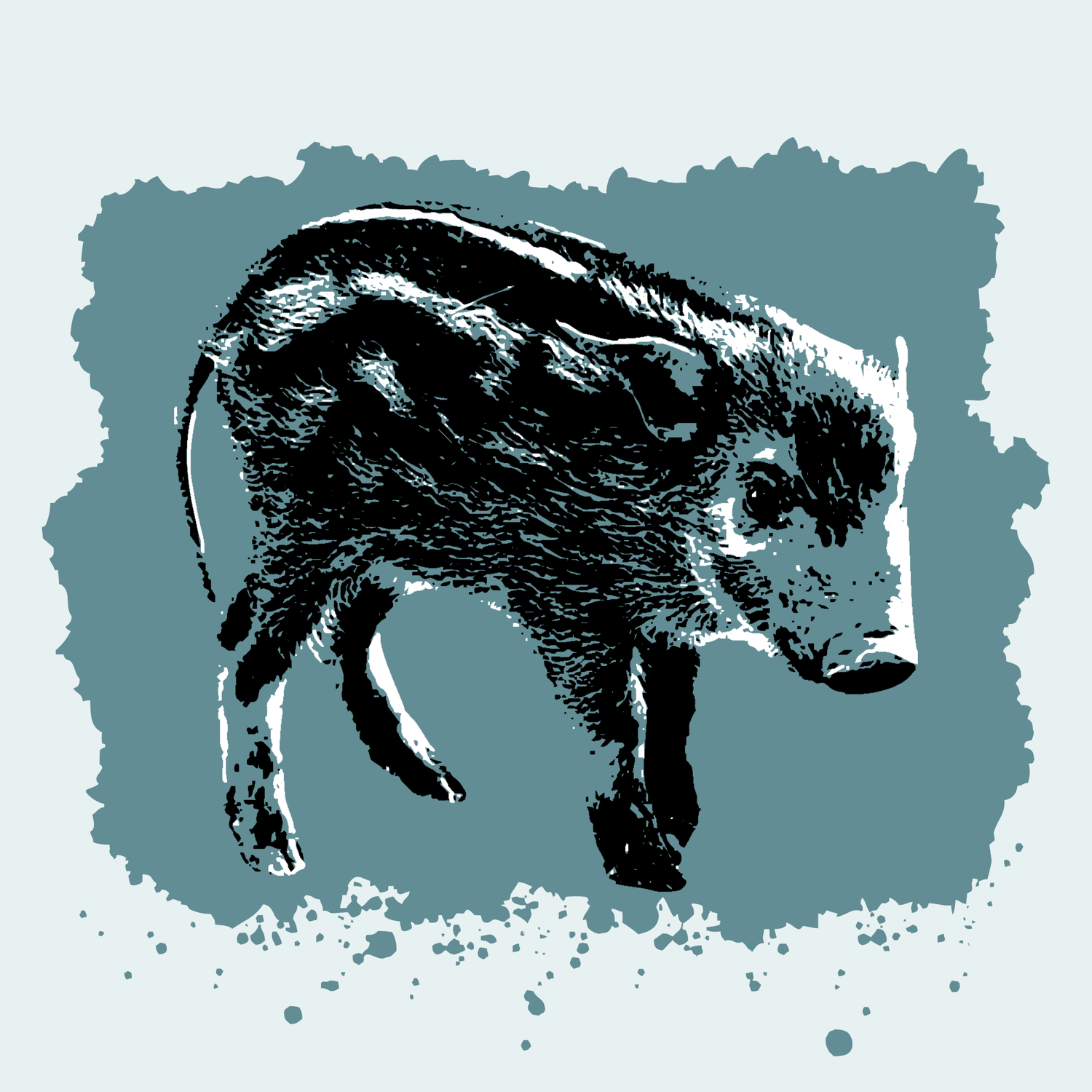 Red River Hog Piglet