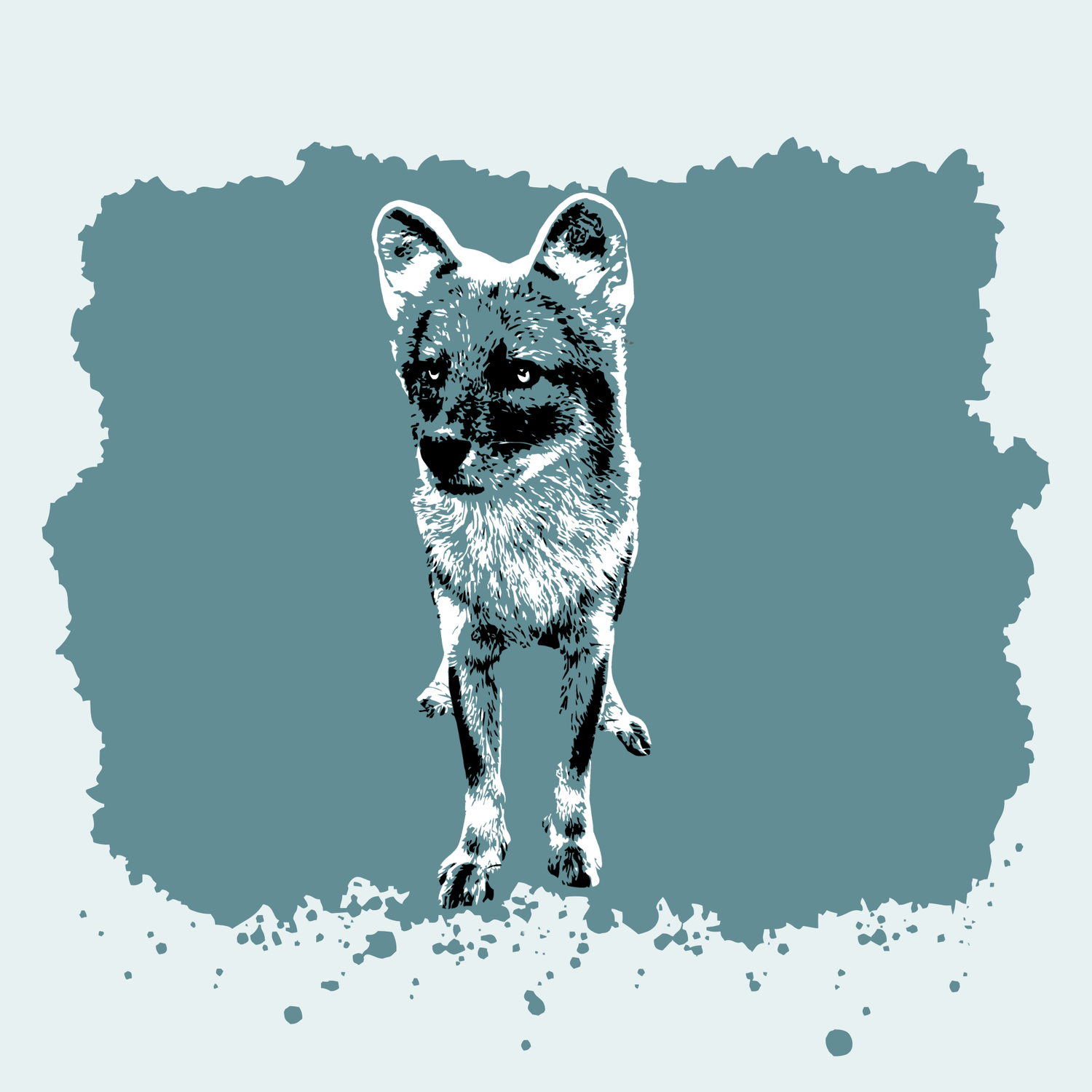 Dhole