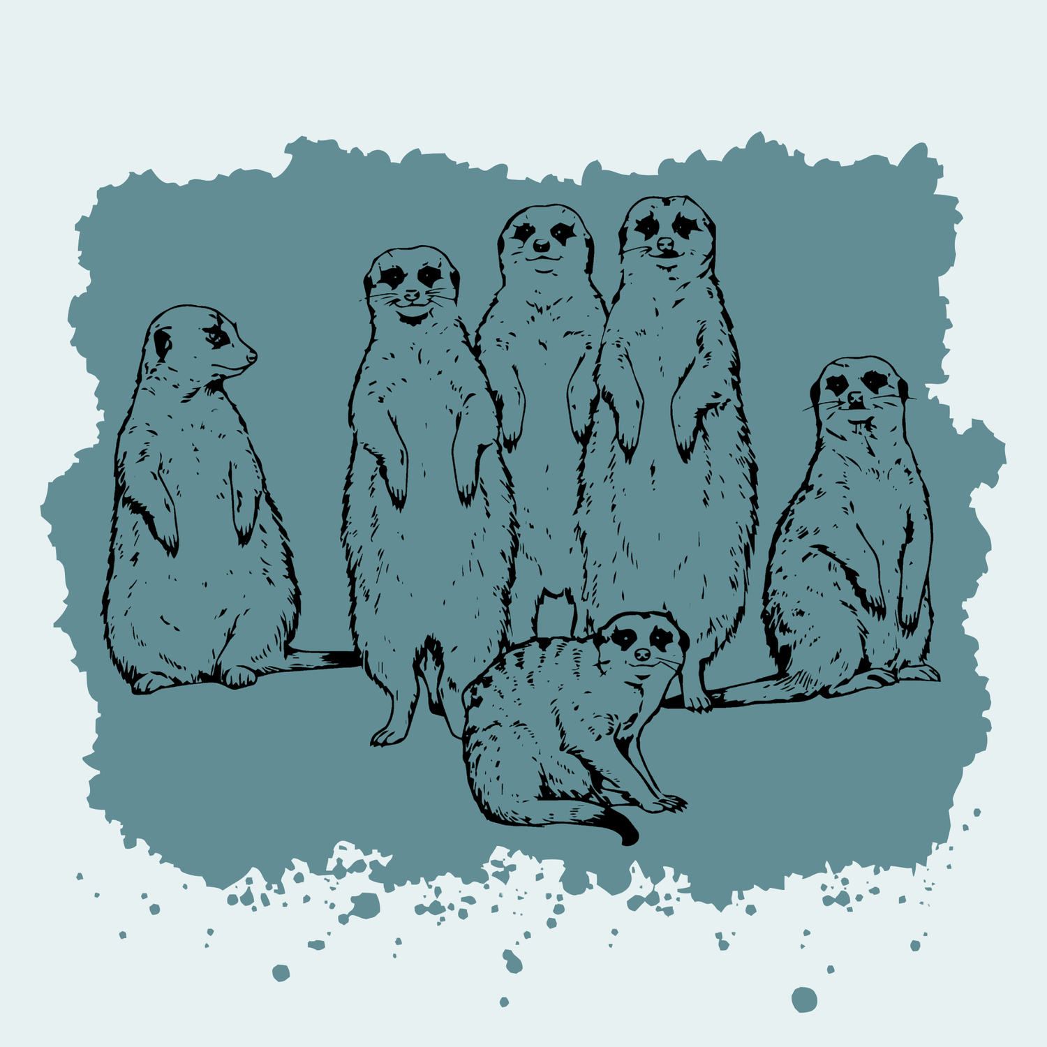 Meerkat Mob