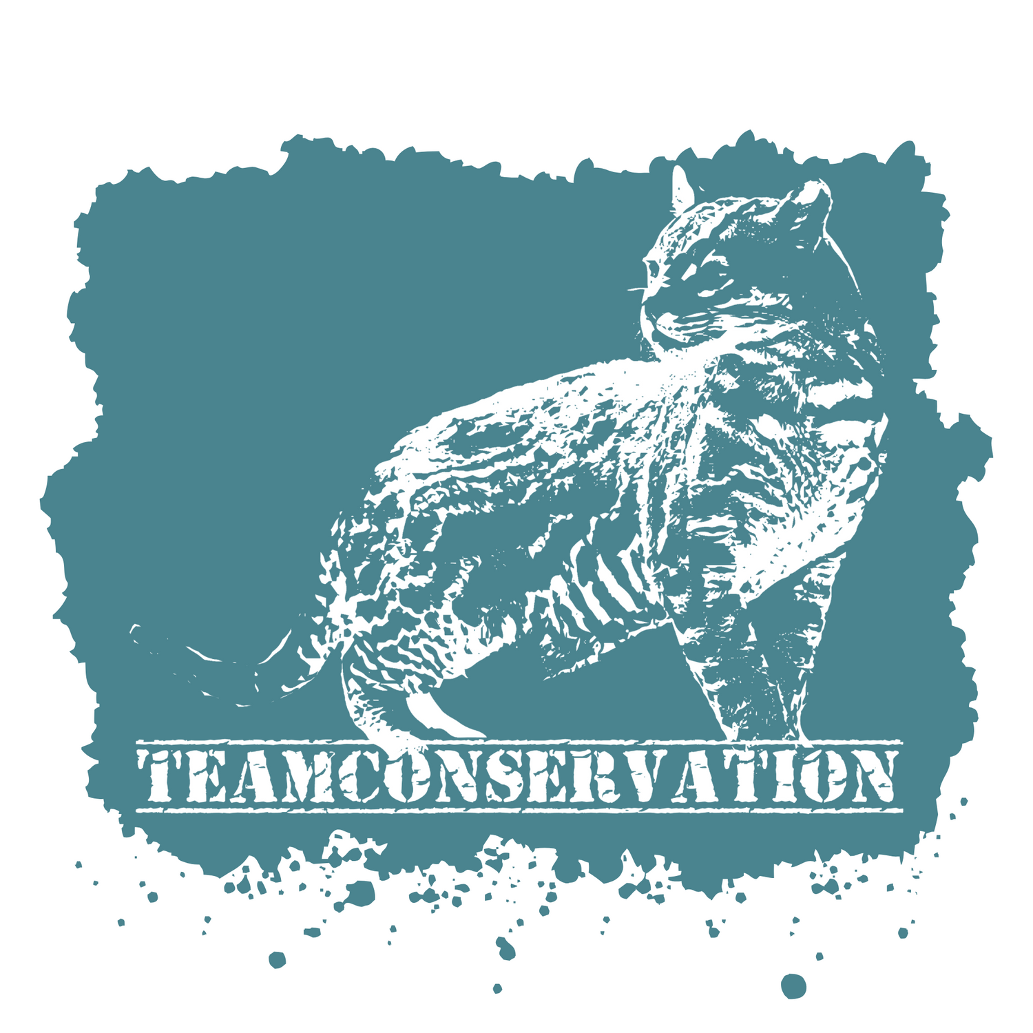 Ocelot Team Conservation