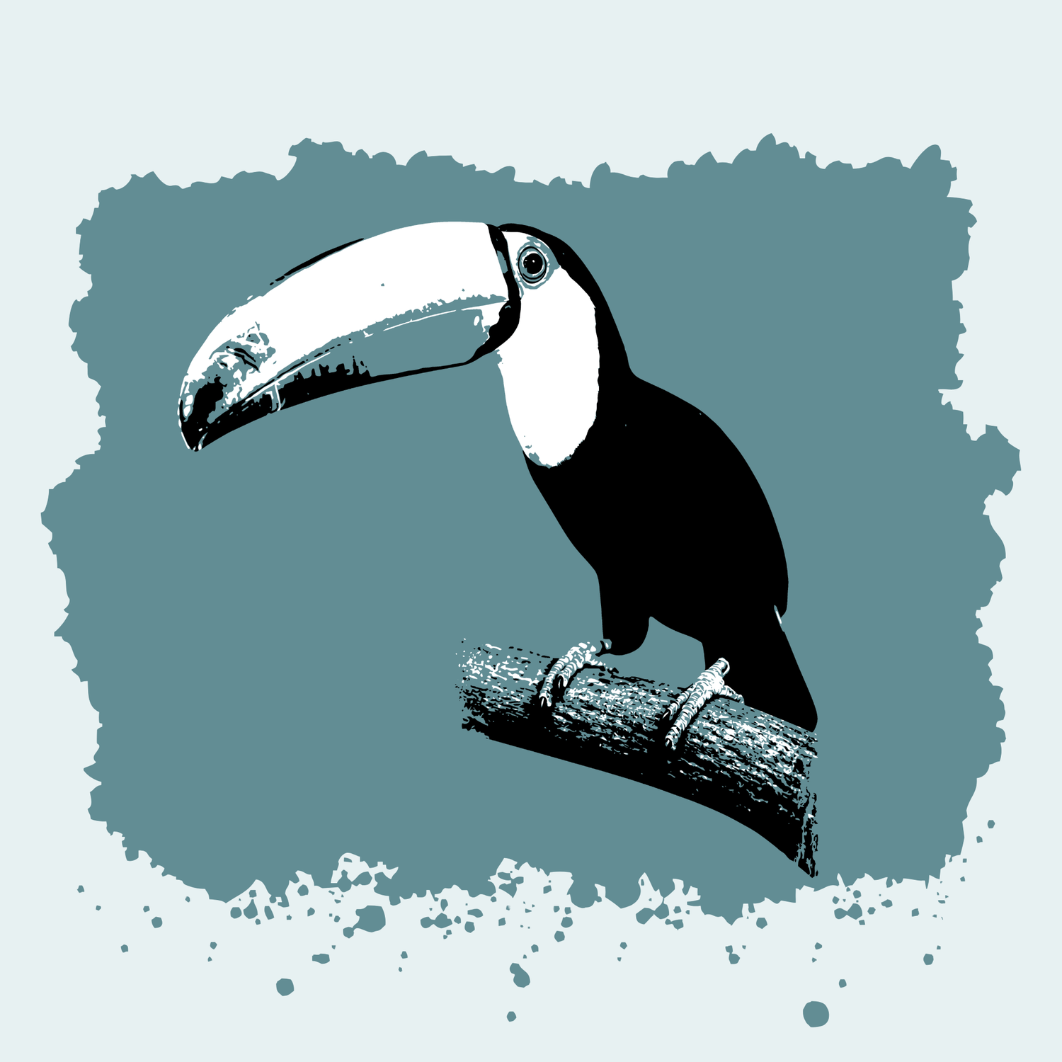 Toco Toucan