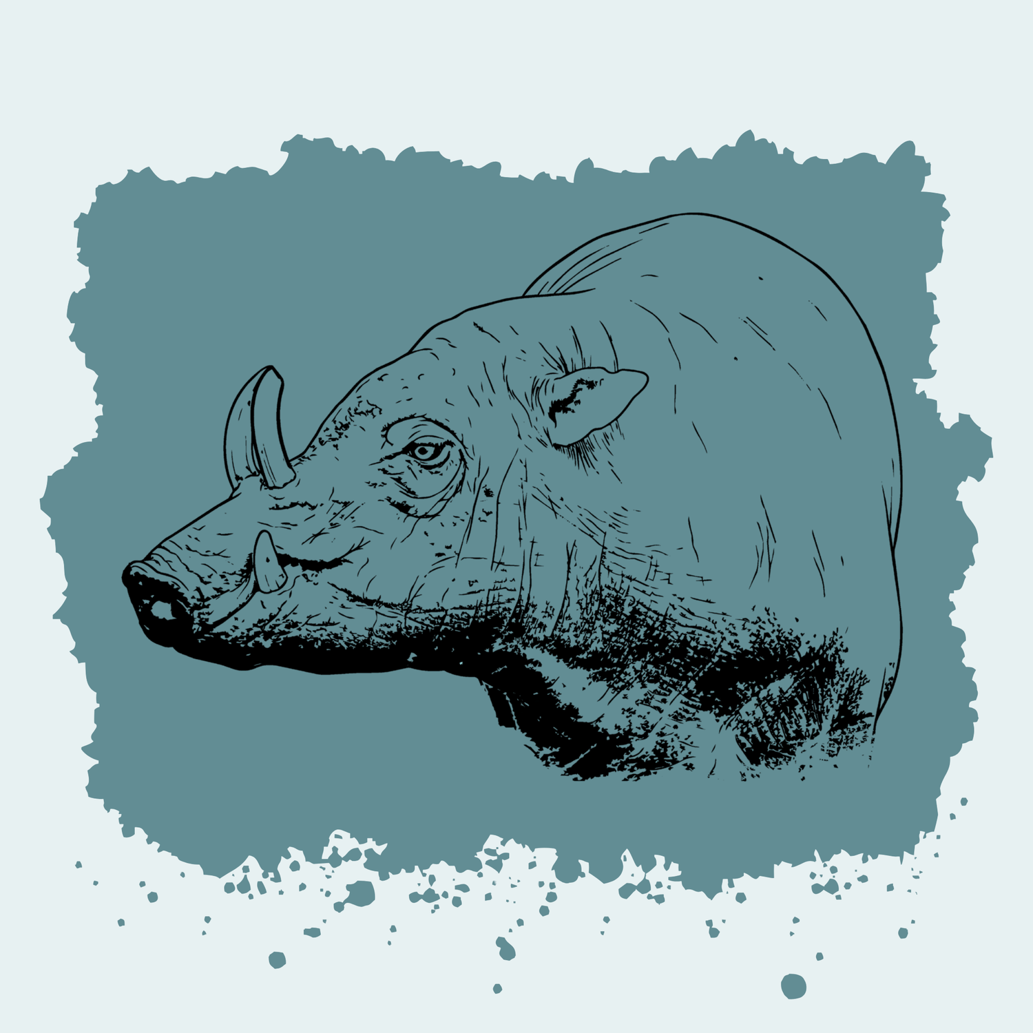Babirusa