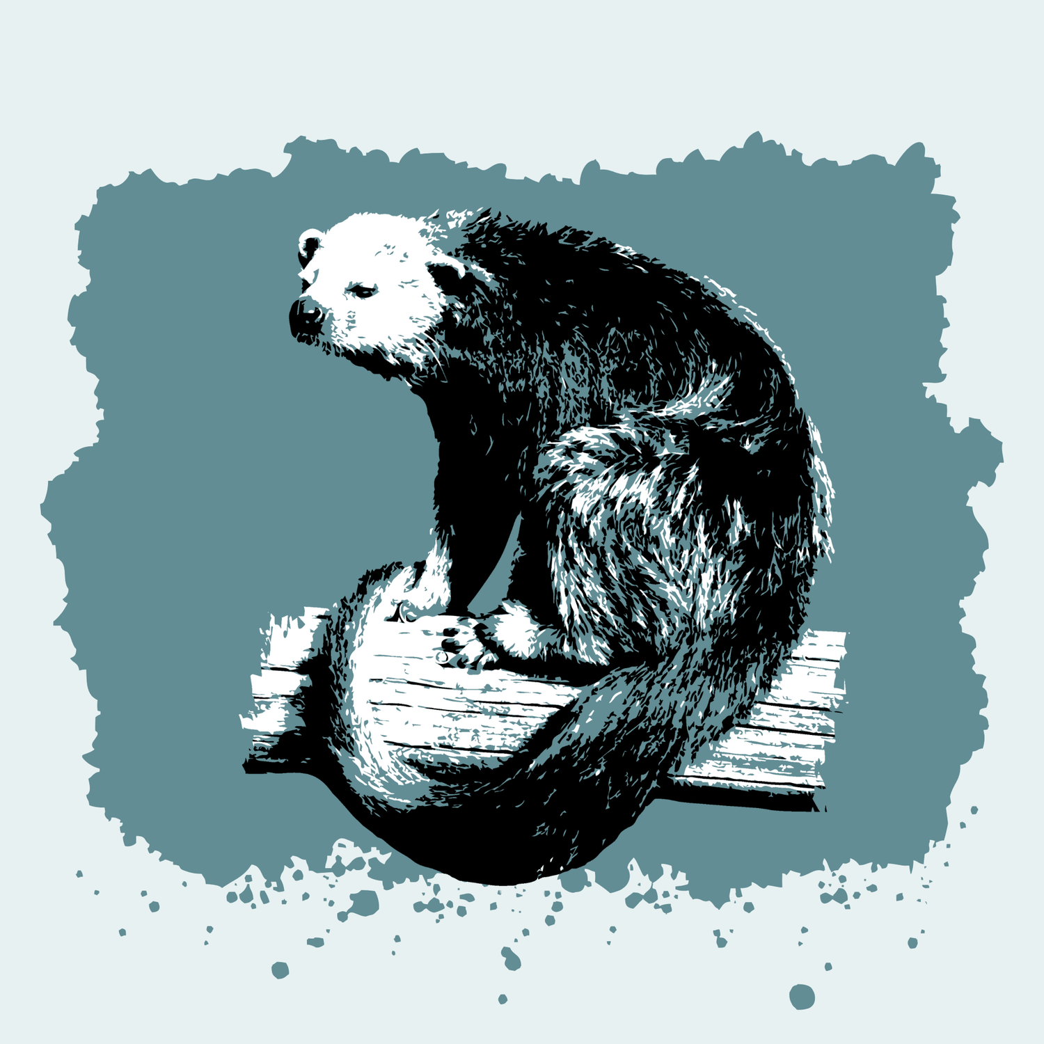 Binturong Fundraiser