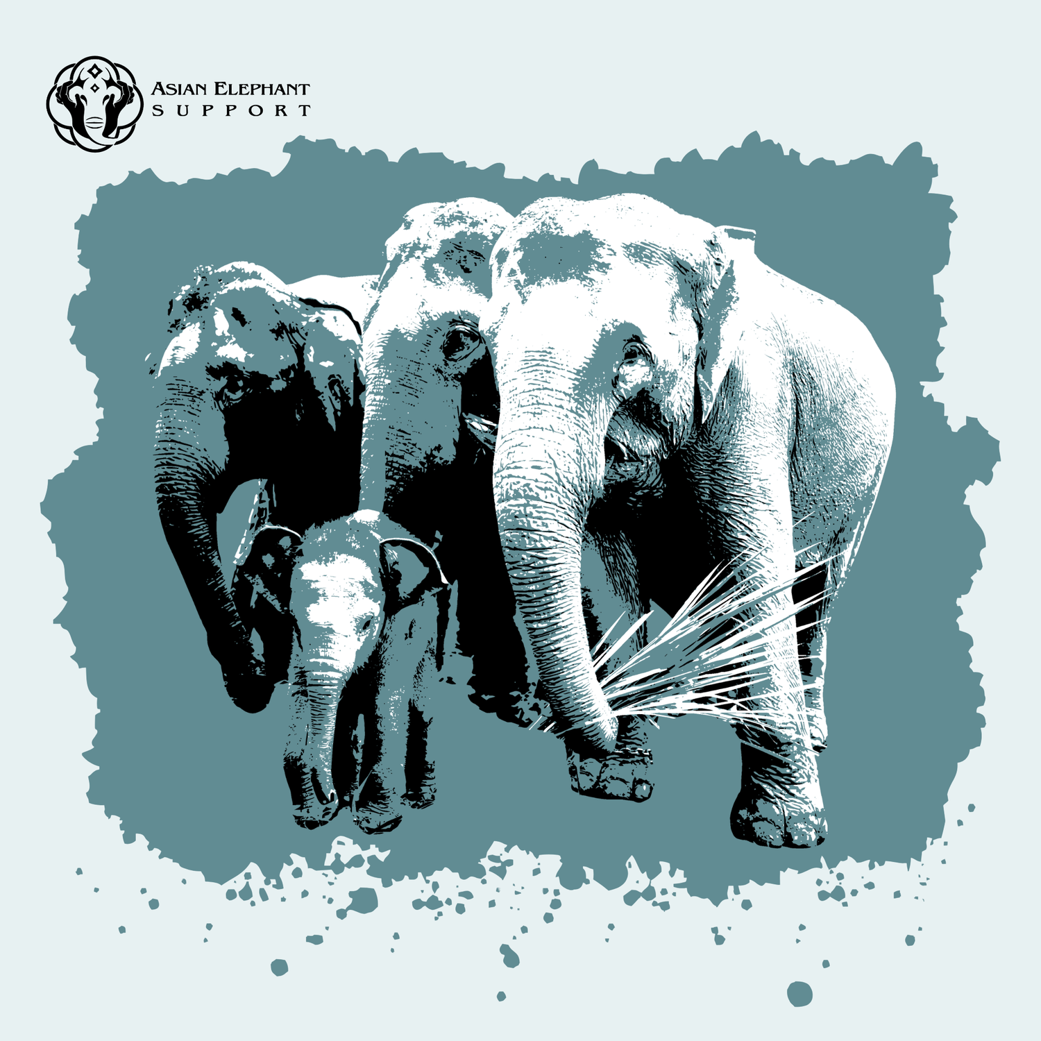 Asian Elephants Fundraiser