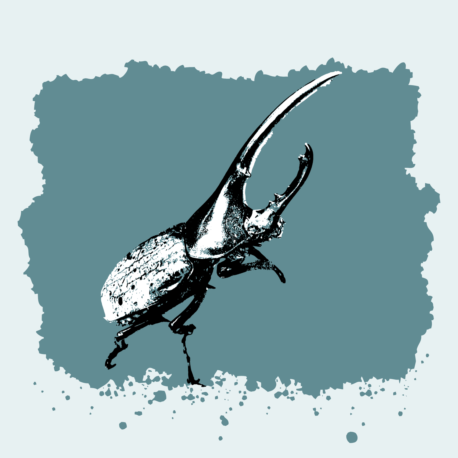 Hercules Beetle
