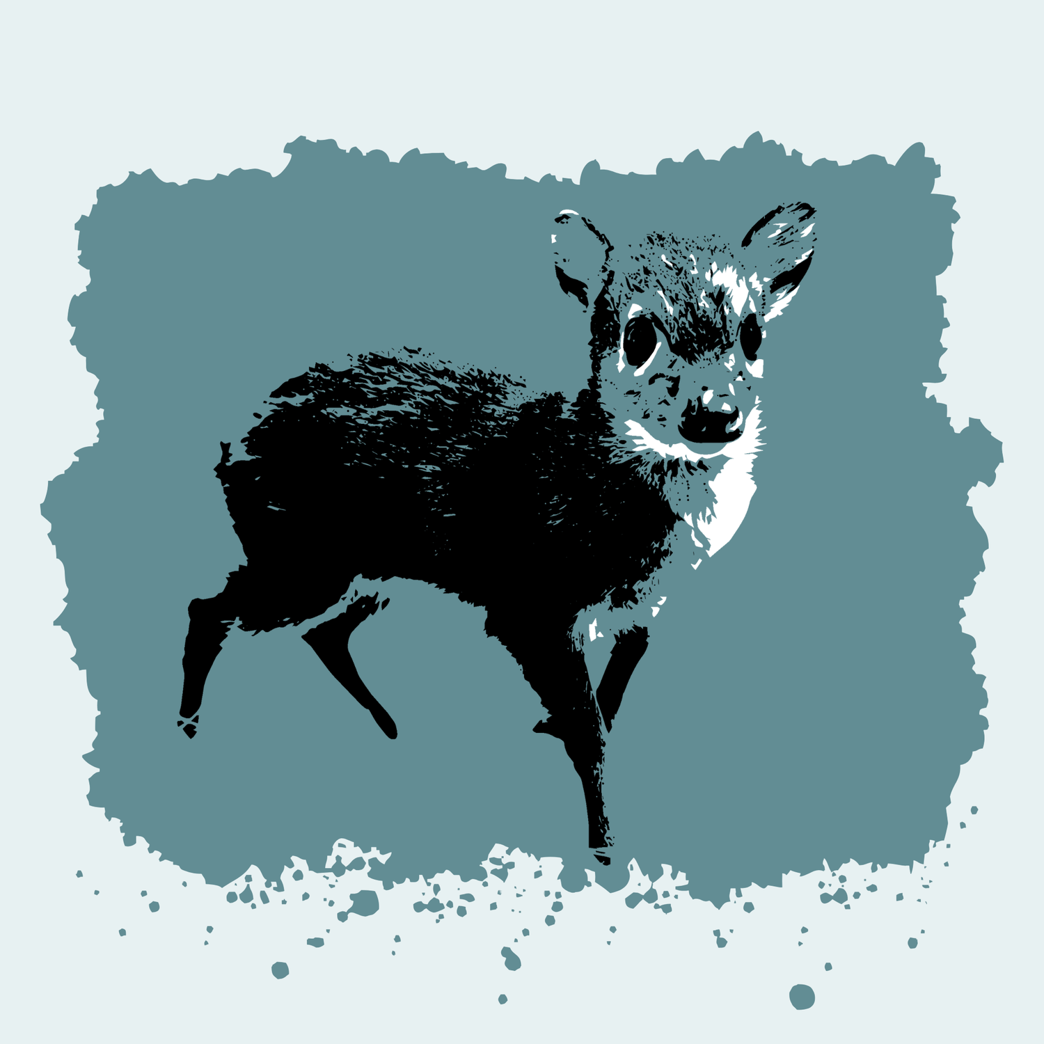 Blue Duiker Fundraiser