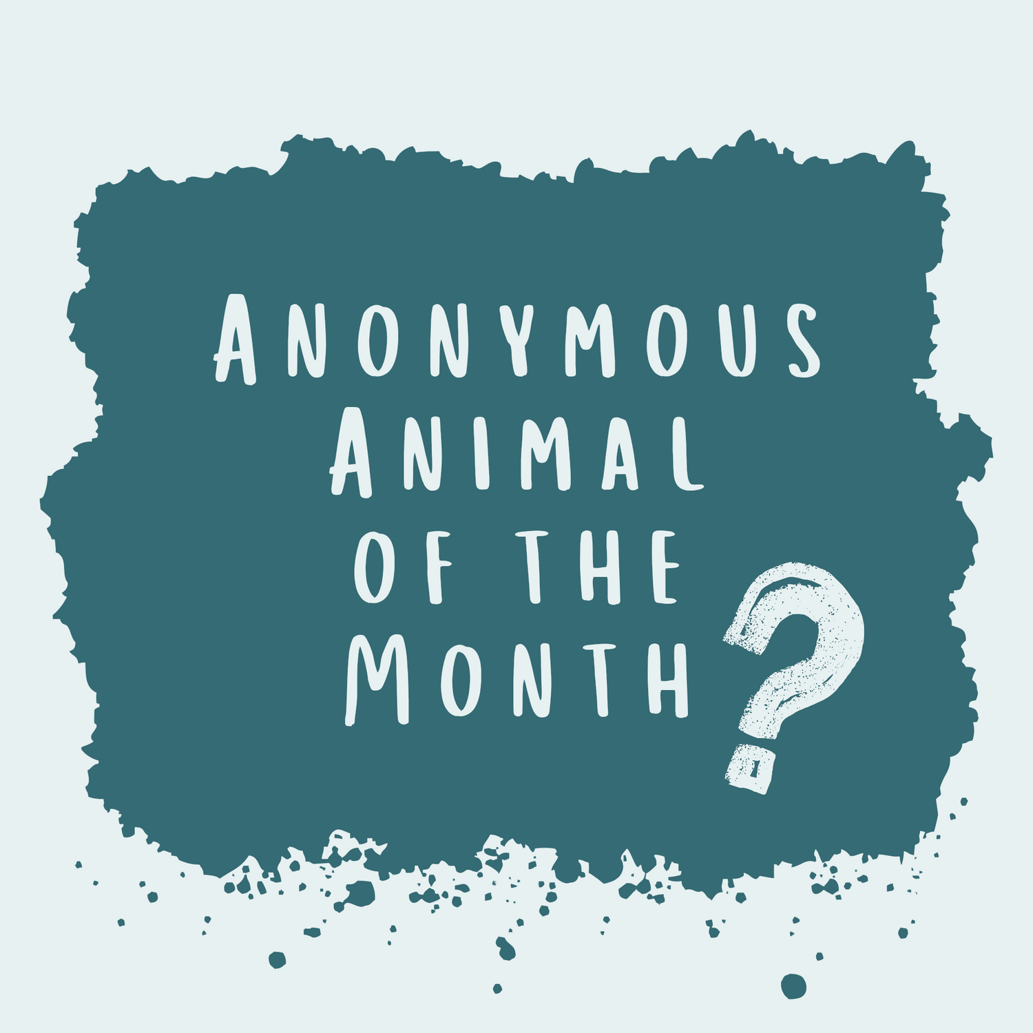 Anonymous Animal of the Month