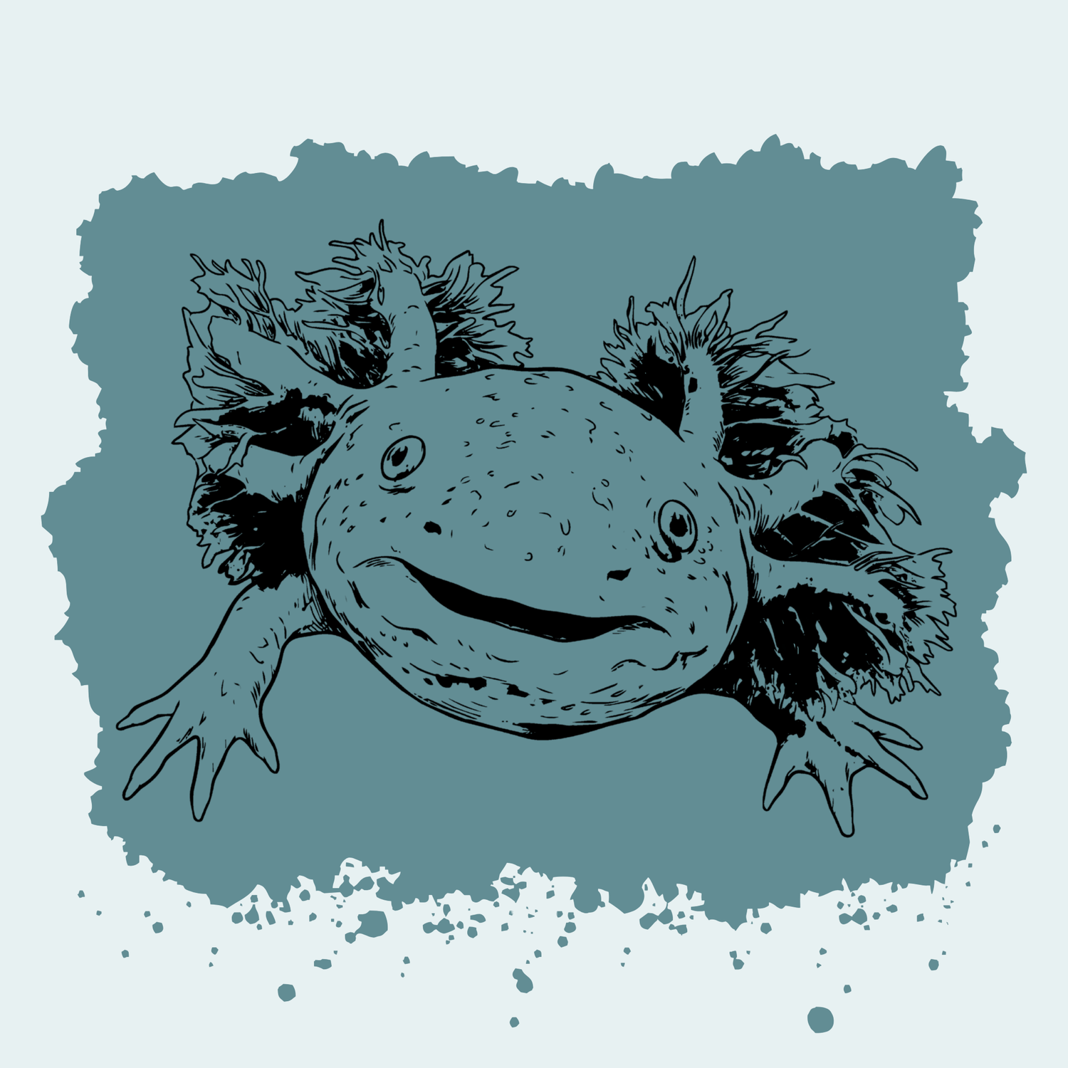 Axolotl