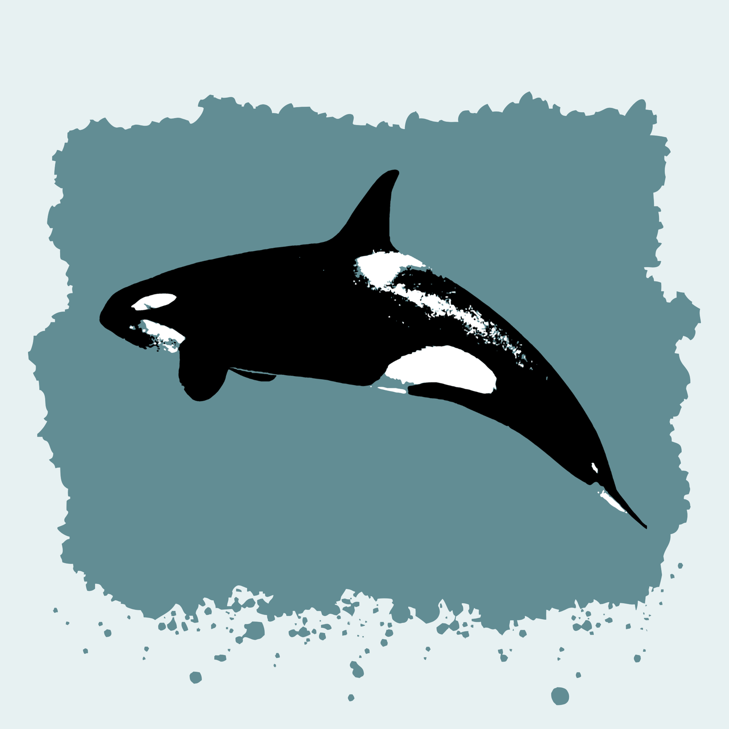 Orca