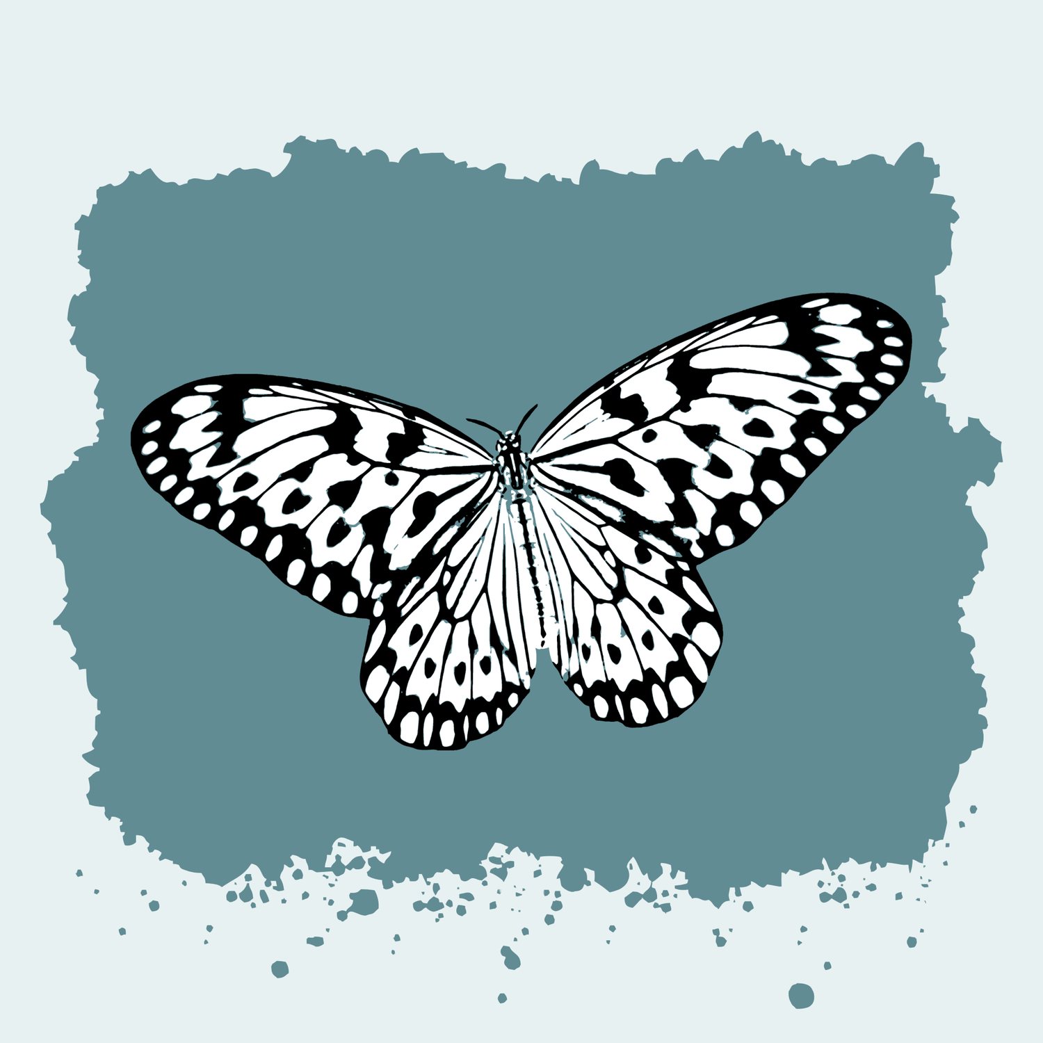 Paper Kite Butterfly