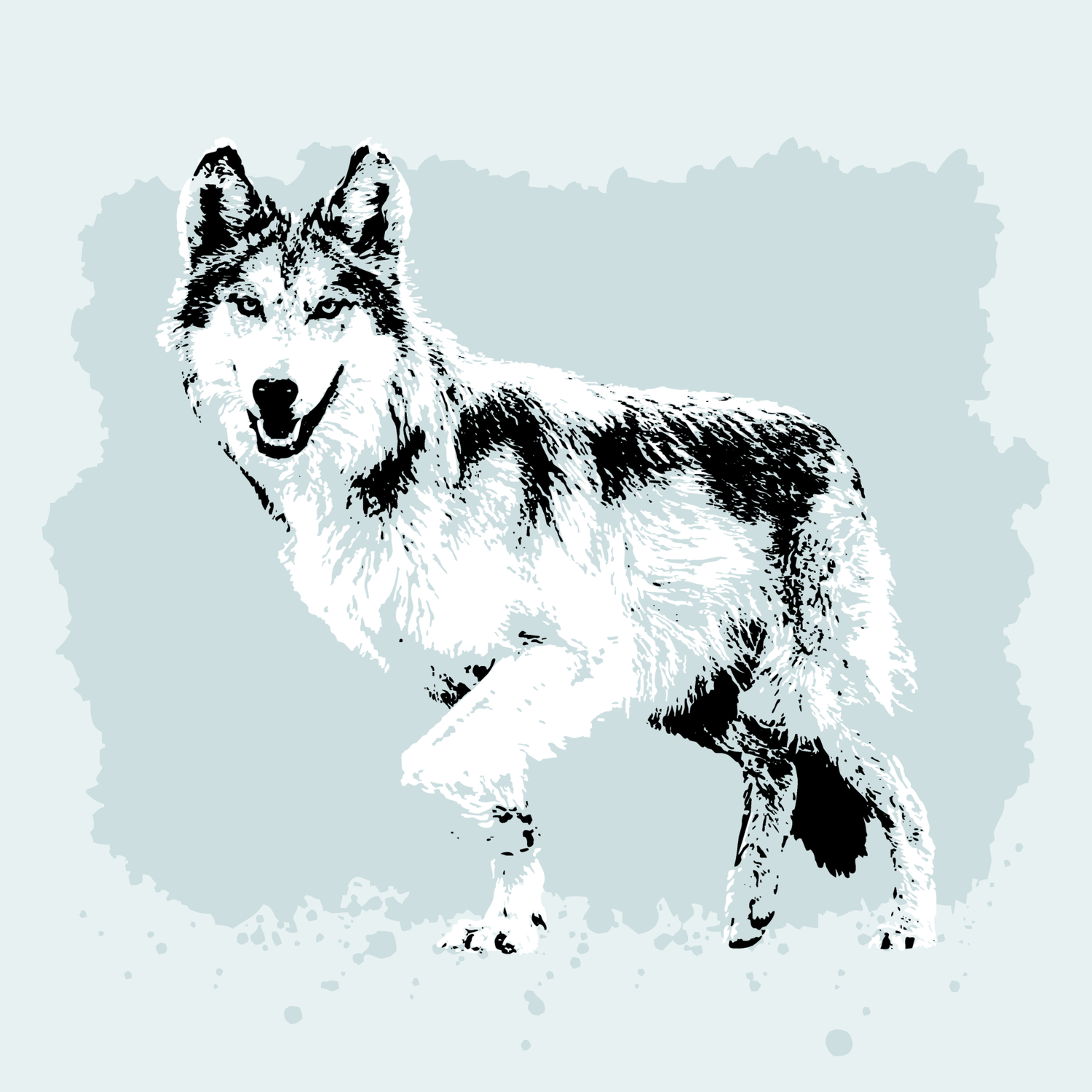 Mexican Wolf