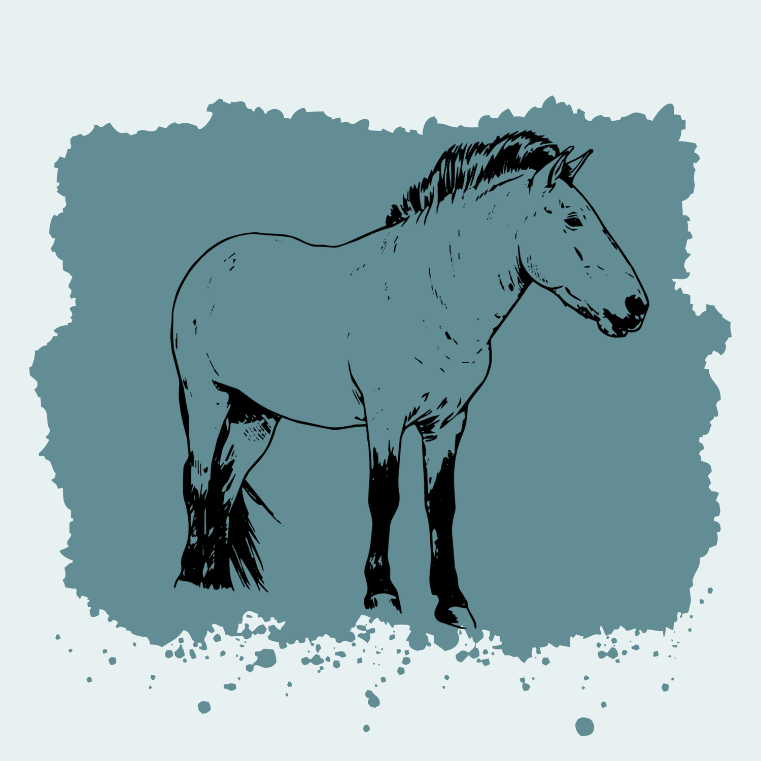 Przewalski's Horse