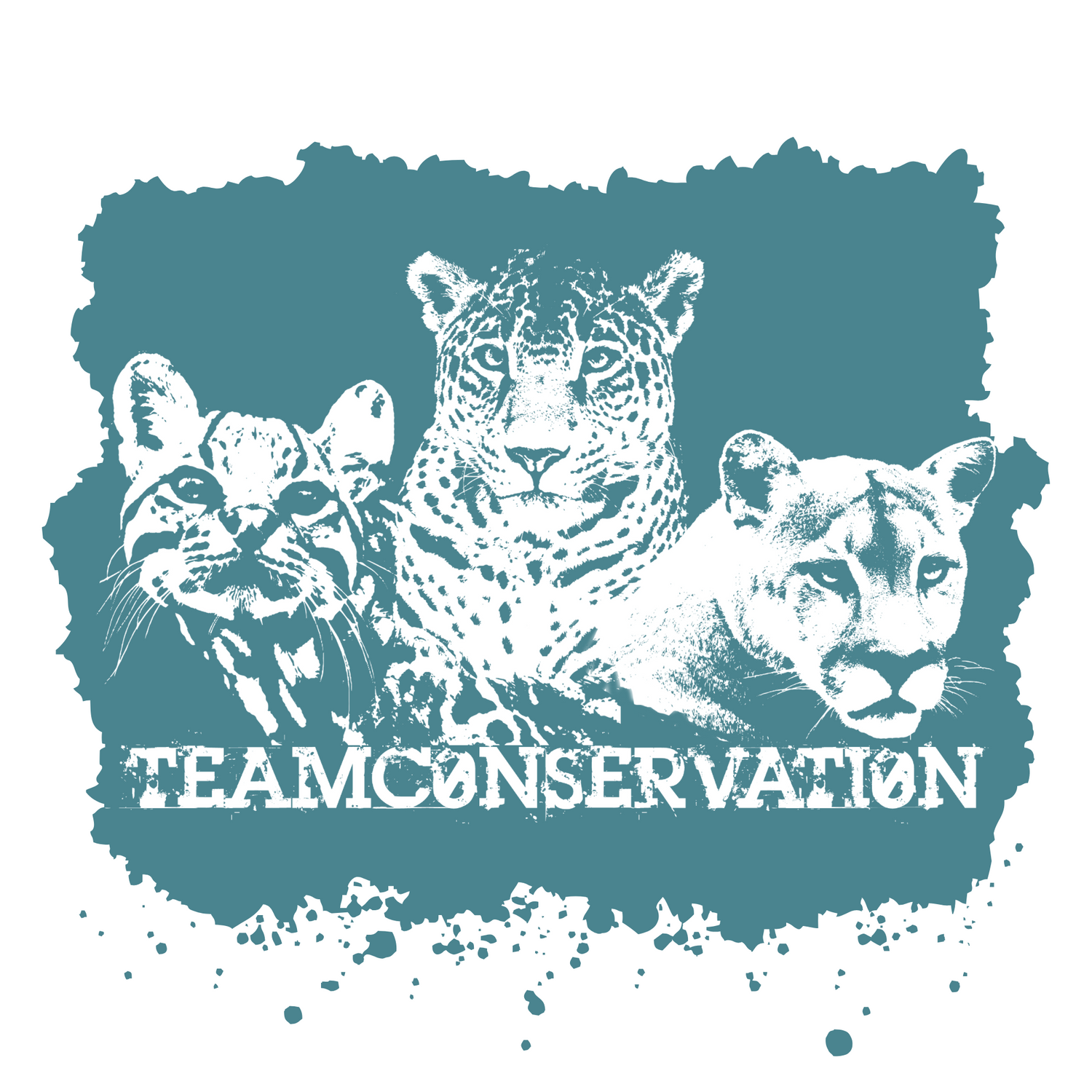 3 Cats Team Conservation