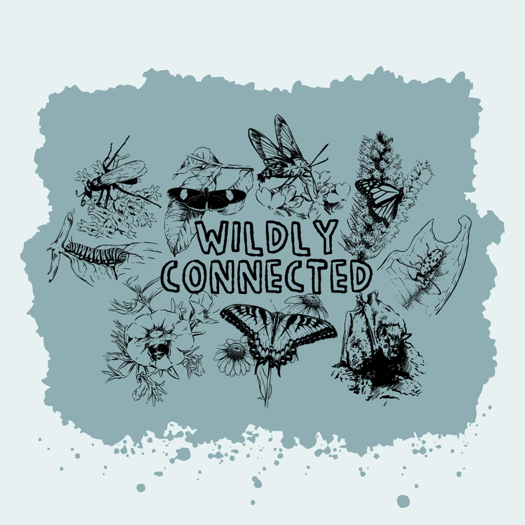 Wildly Connected - Pollinator Partnership Fundraiser