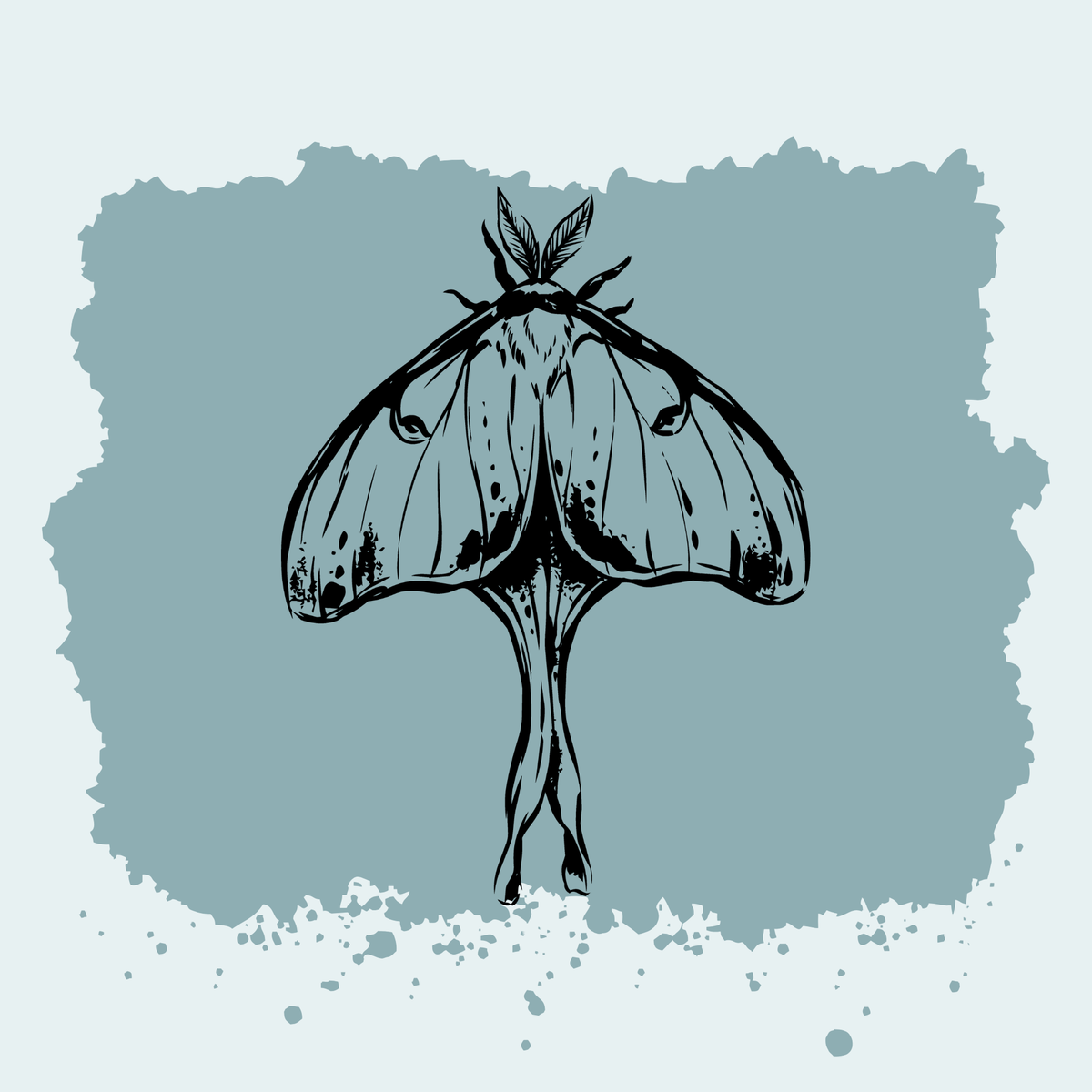 Luna Moth