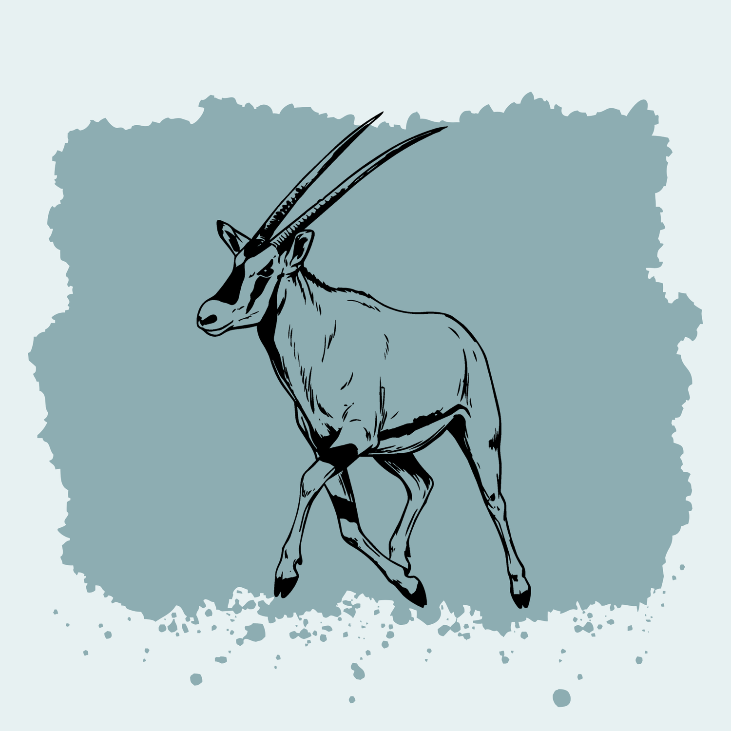 Beisa Oryx