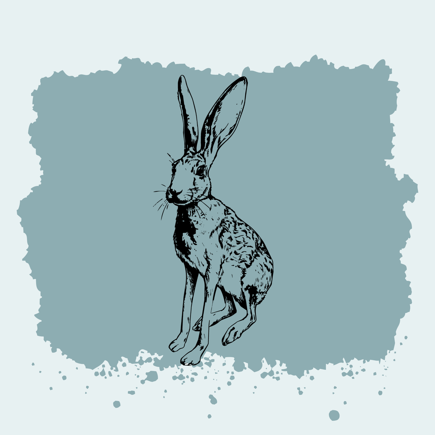 Antelope Jackrabbit
