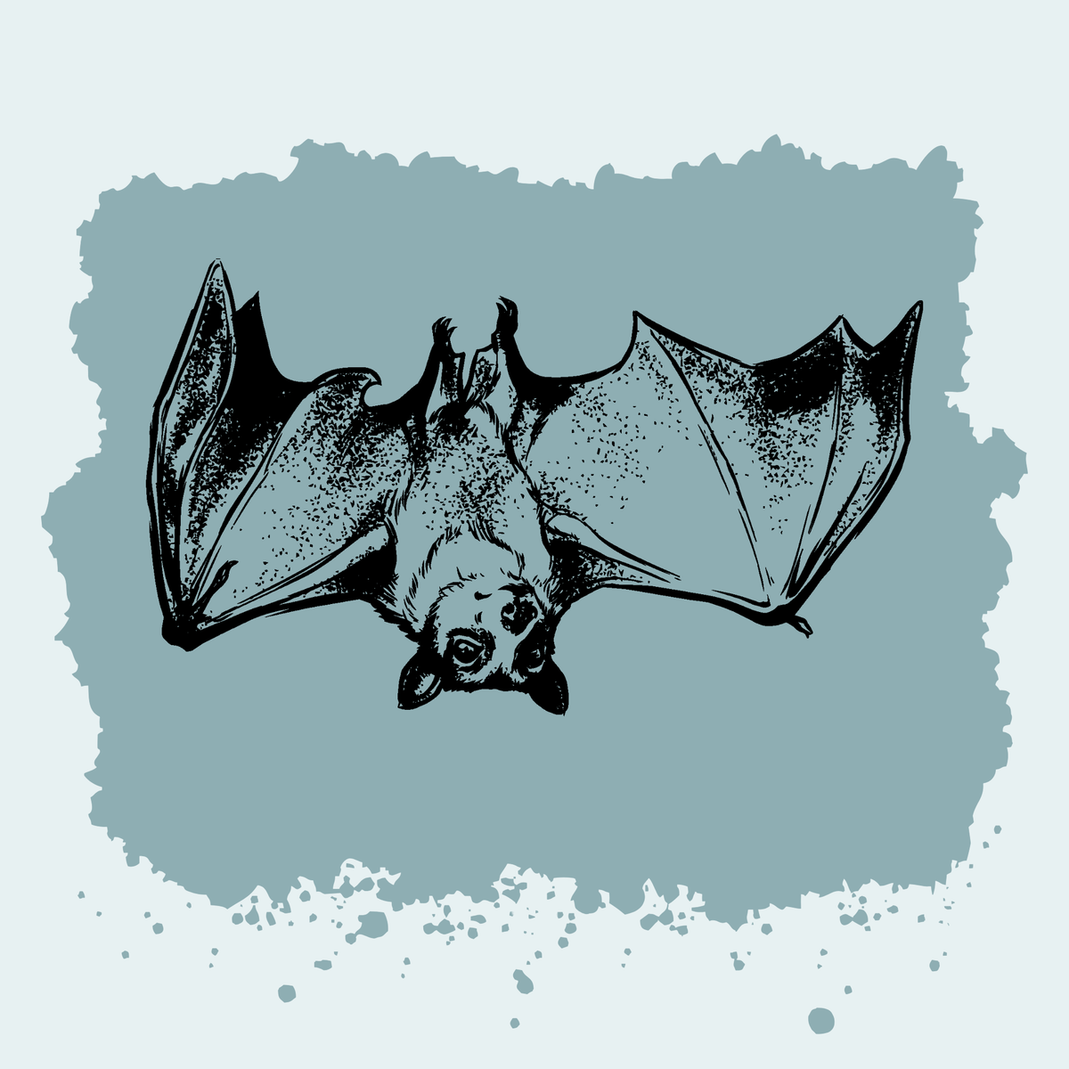 Straw-Colored Fruit Bat