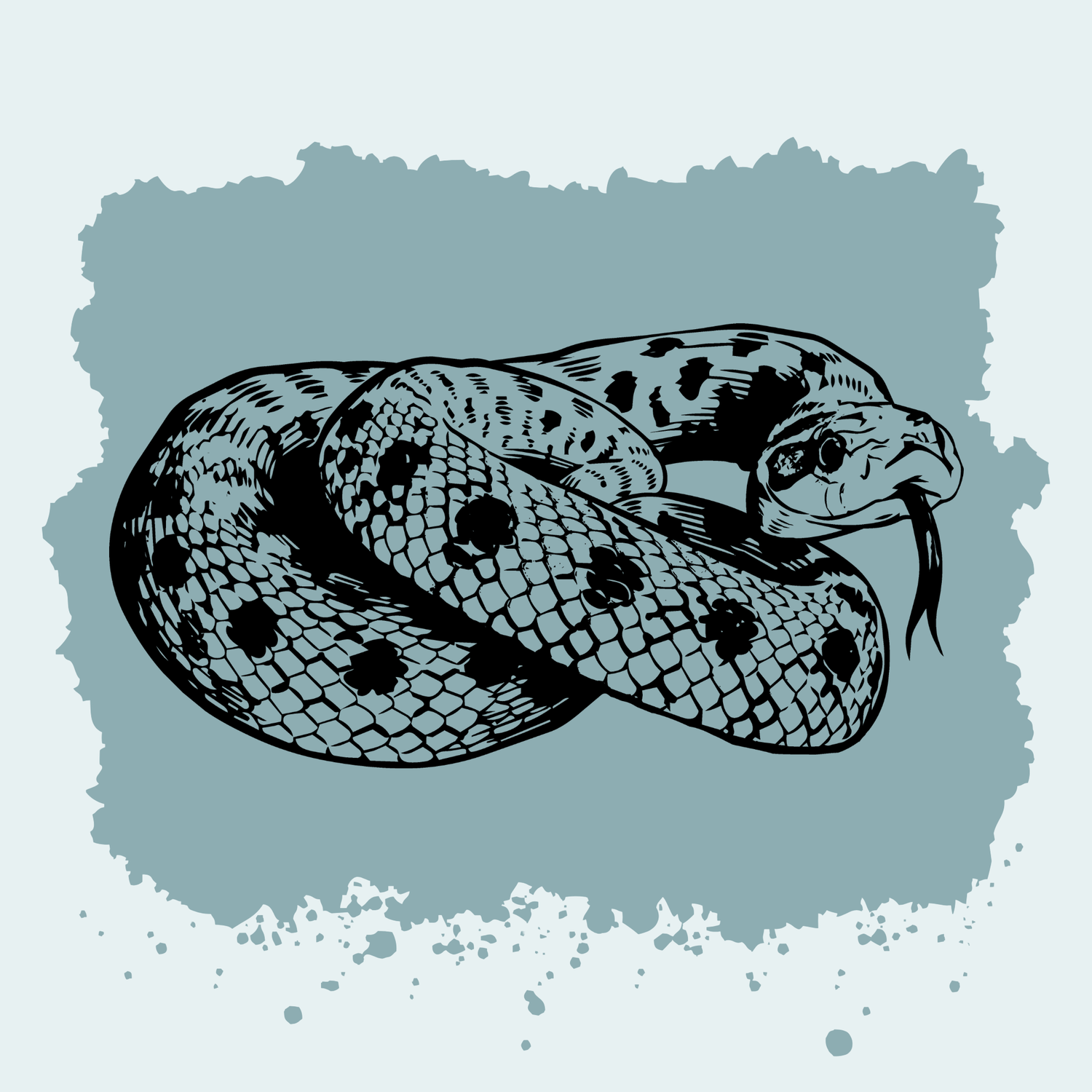 Western Hognose Snake