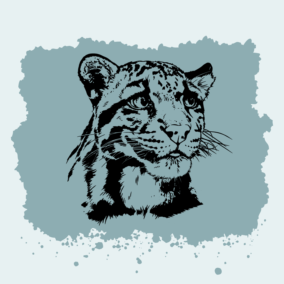 Clouded Leopard