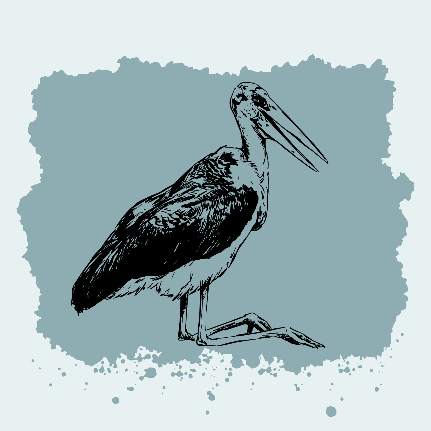 Marabou Stork