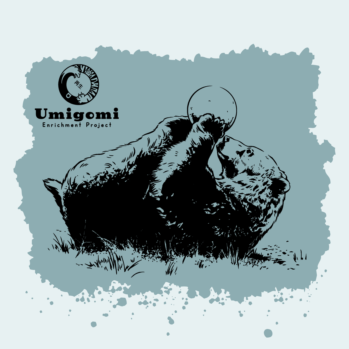 Bear - Umigomi Enrichment Project Fundraiser