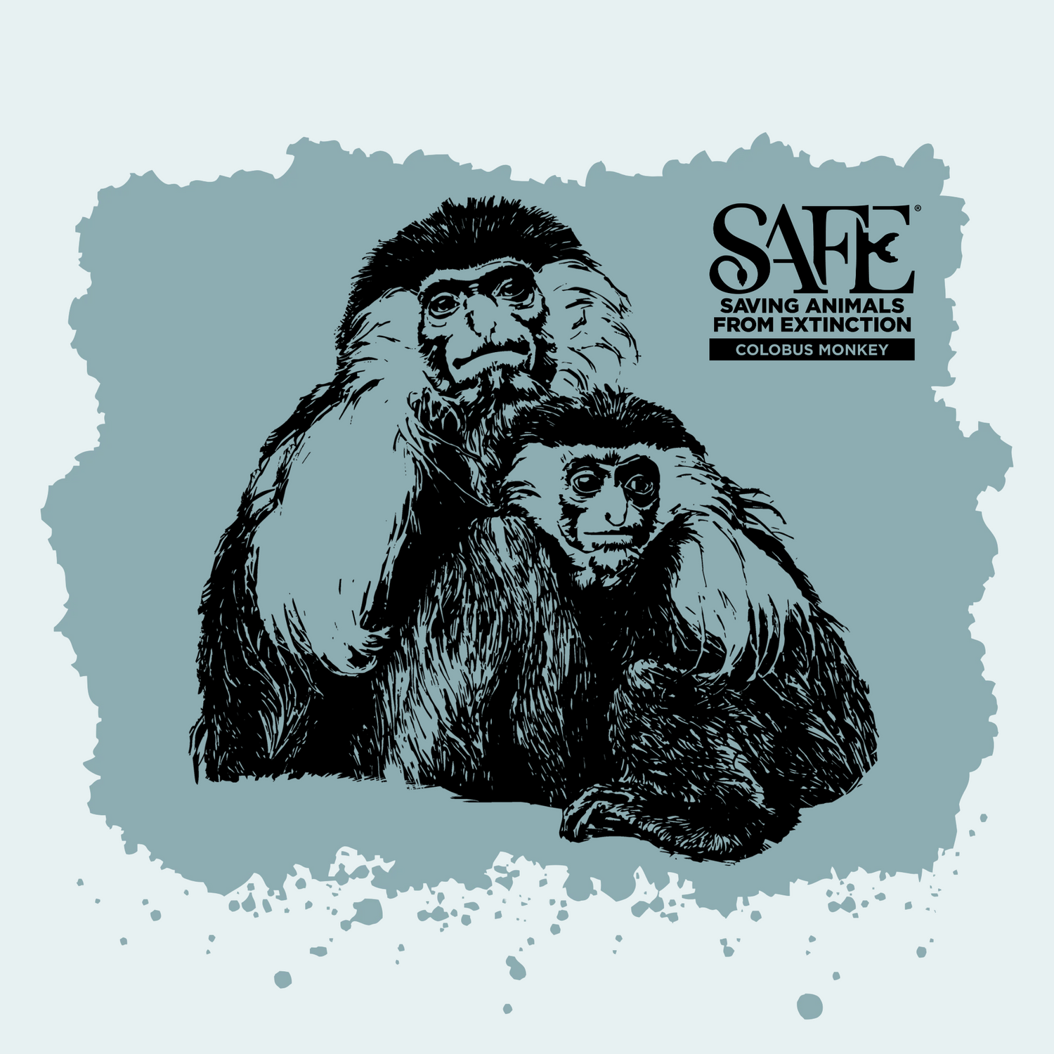 Angolan Colobus Fundraiser