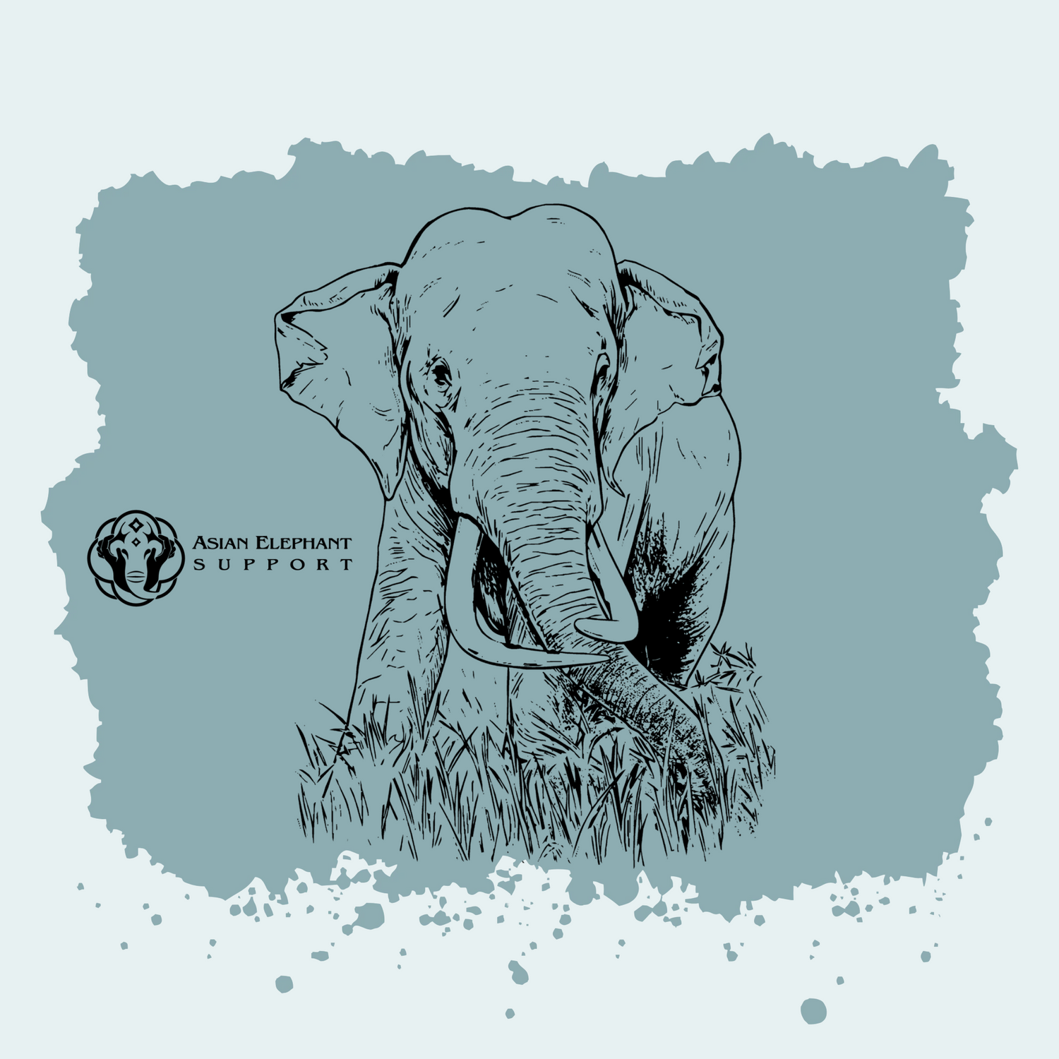 Asian Bull Elephant Fundraiser