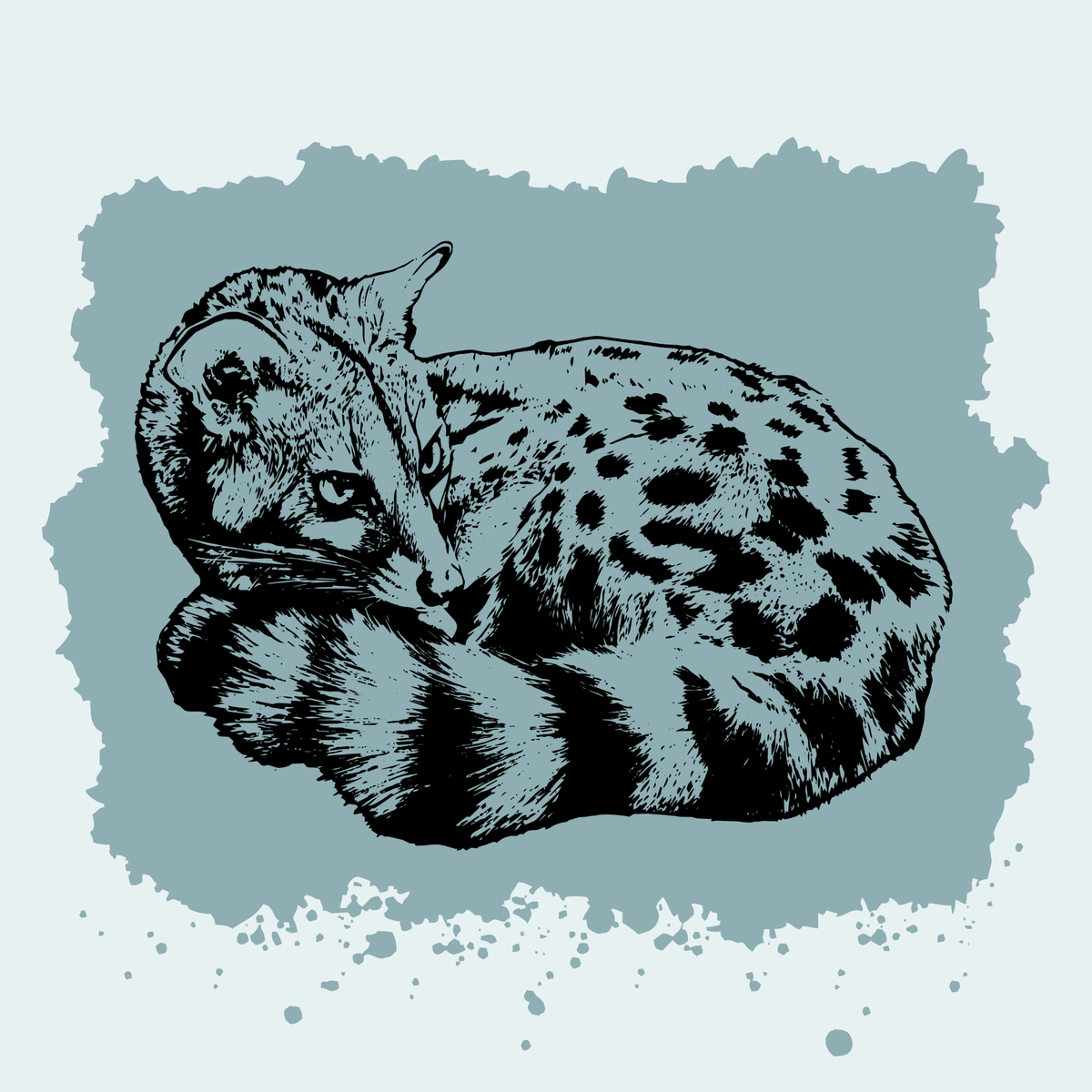 Large Spotted Genet