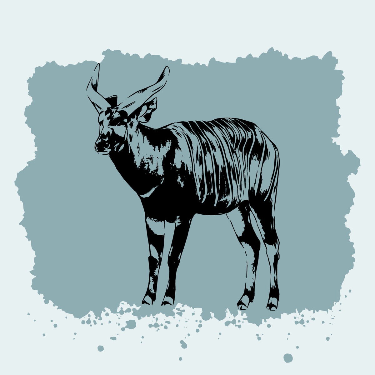 Bongo